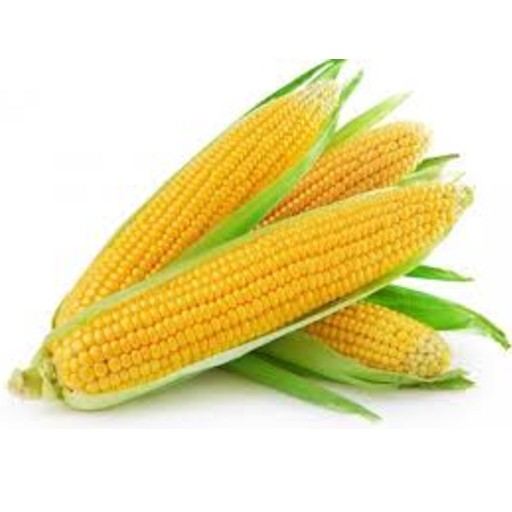 Corn benefits our health. eating corn benefit our health. corn benefit us nutritionally. corn is good for eye health. corn lower the risk of macular degeneration. corn lowers the risk of cataracts. corn reduces risk of macular degeneration. corn reduces risk of cataracts. ways to protect eyes. good diet to keep eye health. how to protect my eye health? how to prevent macular degeneration? how to prevent cataracts? what is good for my eyes? which food is good for my eyes? what to eat for my eyes? corn support digestive health. ways to support digestive health. good diet to support digestive health. things to do for my digestive system. things to eat for my digestive system. what can I eat for my digestive system? what should I eat for my digestive system. help for digestive system. eating corn may regulate bowel movement. eating corn may control blood sugar level. corn prevent diverticulitis. what to eat to prevent diverticulitis?  corn help in prostatitis treatment. what to eat if I get prostatitis?  ways to treat prostatitis. good diet to treat prostatitis. how can I treat prostatitis? what should I eat to treat prostatitis? help for prostatitis.  corn have protective effect against Alzheimer’s. corn have protective effect against dementia. ways to protect against Alzheimer’s. ways to protect against dementia. good diet for Alzheimer’s. good diet for dementia. how can I slow down dementia? how can I slow down Alzheimer’s?  things to eat to stay away from Alzheimer’s. things to eat to stay away from dementia. what can I eat against Alzheimer’s? what can I eat against dementia? help for Alzheimer’s. help for dementia. corn protect you from cancer. corn protect you from heart disease. ways to protect you from cancer. ways to protect you from heart disease. cancer prevention. heart disease prevention. good diet to prevent cancer. good diet to prevent heart disease. what can I eat to prevent cancer? what should I eat to prevent cancer? what can I eat to prevent heart disease? what should I eat to prevent heart disease? cancer help. heart disease help. corn recipe and video. recipe and video to use corns.  listen to the nutritional benefits of corn.  veganvv editor’s view on health. veganvv editor’s opinion on human health. our view on human health. how do we see human health? what should I do when there is no illness? what can I do when I am not sick? can I do something when I am not sick? what can I do now? what should I eat when I am not sick? what should I eat to prevent diseases? what should I eat to prevent illness? what do I need to prevent illness? what do I need to prevent disease? how can I do to prevent illness? how do I prevent illness? how do I prevent disease? what food should I eat now? which food should I eat now? which food shall I eat now? what food shall I eat now? what is healthy diet? prevention diet? how should I choose new food? how may I choose new plants? which food is my best food? what food is my best food? which food suits me most? What food suits me most? the best direction of my diet. how to choose my food? how to choose new food? what should I notice when choosing new food? what should I consider when choose new food? is it difficult to change my diet? why should I eat plants? why should I eat new things? am I healthy? disease prevention.  how to try new food? how to try new plants? the way to try new food? the procedure to try new food? do’s and don’s when trying new food. do’s and don’s on new diet. try new food properly. test new food properly. bells and wishers on new diet. do’s and don’s on plant based diet. do’s and don’s on plant-based diet. bells and wishers on plant based diet. bells and wishers on plant-based diet. cook beef at high temperature may cause cancer.  cook pork at high temperature may cause cancer.  cook chicken at high temperature may cause cancer.  cook duck at high temperature may cause cancer.  cook fish at high temperature may cause cancer.  cook meat at high temperature may cause cancer.  cook poultry at high temperature may cause cancer.  cook sea food at high temperature may cause cancer.  cook animal meat at high temperature may cause cancer.   fry beef at high temperature may cause cancer.  fry pork at high temperature may cause cancer.  fry chicken at high temperature may cause cancer.  fry duck at high temperature may cause cancer.  fry fish at high temperature may cause cancer.  fry meat at high temperature may cause cancer.  fry poultry at high temperature may cause cancer.  fry sea food at high temperature may cause cancer.  fry animal meat at high temperature may cause cancer.   boil beef at high temperature may cause cancer.  boil pork at high temperature may cause cancer.  boil chicken at high temperature may cause cancer.  boil duck at high temperature may cause cancer.  boil fish at high temperature may cause cancer.  boil meat at high temperature may cause cancer.  boil poultry at high temperature may cause cancer.  boil sea food at high temperature may cause cancer.  boil animal meat at high temperature may cause cancer.   barbecue beef at high temperature may cause cancer.  barbecue pork at high temperature may cause cancer.  barbecue chicken at high temperature may cause cancer.  barbecue duck at high temperature may cause cancer.  barbecue fish at high temperature may cause cancer.  barbecue meat at high temperature may cause cancer.  barbecue poultry at high temperature may cause cancer.  barbecue sea food at high temperature may cause cancer.  barbecue animal meat at high temperature may cause cancer.  barbecue lamb at high temperature may cause cancer. boil lamb at high temperature may cause cancer. fry lamb at high temperature may cause cancer. cook lamb at high temperature may cause cancer. roast beef at high temperature may cause cancer.  roast pork at high temperature may cause cancer.  roast chicken at high temperature may cause cancer.  roast duck at high temperature may cause cancer.  roast fish at high temperature may cause cancer.  roast meat at high temperature may cause cancer.  roast poultry at high temperature may cause cancer.  roast sea food at high temperature may cause cancer.  roast animal meat at high temperature may cause cancer.  roast lamb at high temperature may cause cancer.