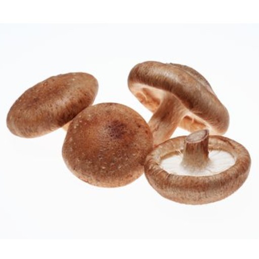 eating shiitake mushrooms benefit our health. shiitake mushrooms benefit our health. shiitake mushrooms may aid heart health. shiitake mushrooms help lower cholesterol. shiitake mushroom may reduce your risk of heart disease. shiitake mushrooms may reduce the risk of heart disease. ways to reduce risk of heart disease. good diet to reduce heart disease risk. how to reduce risk of heart disease? what is good to prevent heart disease? which food is good to prevent heart disease? what to eat for heart disease? shiitake mushrooms may boost your immune system. ways to boost immune system. good diet to boost immune system. how to boost immune system? what is good to boost immune system? which food is good for immune system? what to eat to boost immune system? shiitake mushrooms can help fight cancer. shiitake mushrooms have cancer-fighting properties. shiitake mushrooms may fight cancer. shiitake mushrooms are good to prevent cancer. shiitake mushrooms lower the risk of cancer. ways to prevent cancer. good diet to prevent cancer. how to protect against cancer? what is good to prevent cancer? which food is good to prevent cancer? what to eat to prevent cancer. shiitake mushrooms antibacterial effect. shiitake mushrooms have antiviral effects. Shiitake mushrooms have antifungal effect. shiitake mushrooms may strengthen your bones. shiitake mushrooms may improve bone density. shiitake mushrooms is good for bone health. shiitake mushroom lowers the risk of fracture. ways to protect our bones. how to protect our bones? what is good for my bones? which food is good for my bones? what to eat for my bones? shiitake mushroom recipe and video. recipe and video to use shiitake mushrooms.  listen to the nutritional benefit of shiitake mushroom. listen to the nutritional benefits of shiitake mushrooms. nutritional benefits of shiitake mushrooms. veganvv editor’s view on health. veganvv editor’s opinion on human health. our view on human health. how do we see human health? what should I do when there is no illness? what can I do when I am not sick? can I do something when I am not sick? what can I do now? what should I eat when I am not sick? what should I eat to prevent diseases? what should I eat to prevent illness? what do I need to prevent illness? what do I need to prevent disease? how can I do to prevent illness? how do I prevent illness? how do I prevent disease? what food should I eat now? which food should I eat now? which food shall I eat now? what food shall I eat now? what is healthy diet? prevention diet? how should I choose new food? how may I choose new plants? which food is my best food? what food is my best food? which food suits me most? What food suits me most? the best direction of my diet. how to choose my food? how to choose new food? what should I notice when choosing new food? what should I consider when choose new food? is it difficult to change my diet? why should I eat plants? why should I eat new things? am I healthy? disease prevention.  how to try new food? how to try new plants? the way to try new food? the procedure to try new food? do’s and don’s when trying new food. do’s and don’s on new diet. try new food properly. test new food properly. bells and wishers on new diet. do’s and don’s on plant based diet. do’s and don’s on plant-based diet. bells and wishers on plant based diet. bells and wishers on plant-based diet. cook beef at high temperature may cause cancer.  cook pork at high temperature may cause cancer.  cook lamb at high temperature may cause cancer. cook chicken at high temperature may cause cancer.  cook duck at high temperature may cause cancer.  cook fish at high temperature may cause cancer.  cook meat at high temperature may cause cancer.  cook poultry at high temperature may cause cancer.  cook sea food at high temperature may cause cancer.  cook animal meat at high temperature may cause cancer.   fry beef at high temperature may cause cancer.  fry pork at high temperature may cause cancer. fry lamb at high temperature may cause cancer.  fry chicken at high temperature may cause cancer.  fry duck at high temperature may cause cancer.  fry fish at high temperature may cause cancer.  fry meat at high temperature may cause cancer.  fry poultry at high temperature may cause cancer.  fry sea food at high temperature may cause cancer.  fry animal meat at high temperature may cause cancer.   boil beef at high temperature may cause cancer.  boil pork at high temperature may cause cancer.  boil lamb at high temperature may cause cancer. boil chicken at high temperature may cause cancer.  boil duck at high temperature may cause cancer.  boil fish at high temperature may cause cancer.  boil meat at high temperature may cause cancer.  boil poultry at high temperature may cause cancer.  boil sea food at high temperature may cause cancer.  boil animal meat at high temperature may cause cancer.   barbecue beef at high temperature may cause cancer.  barbecue pork at high temperature may cause cancer.  barbecue lamb at high temperature may cause cancer. barbecue chicken at high temperature may cause cancer.  barbecue duck at high temperature may cause cancer.  barbecue fish at high temperature may cause cancer.  barbecue meat at high temperature may cause cancer.  barbecue poultry at high temperature may cause cancer.  barbecue sea food at high temperature may cause cancer.  barbecue animal meat at high temperature may cause cancer.   roast beef at high temperature may cause cancer.  roast pork at high temperature may cause cancer.  roast lamb at high temperature may cause cancer. roast chicken at high temperature may cause cancer.  roast duck at high temperature may cause cancer.  roast fish at high temperature may cause cancer.  roast meat at high temperature may cause cancer.  roast poultry at high temperature may cause cancer.  roast sea food at high temperature may cause cancer.  roast animal meat at high temperature may cause cancer.  