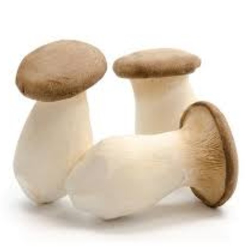 king oyster mushrooms benefits our health. eating king oyster mushroom benefit our health. king oyster mushrooms benefit us nutritionally. king oyster mushrooms are nutrient powerhouse. king oyster mushrooms are rich in B vitamins. king oyster mushrooms contain B3. King oyster mushrooms contain niacin. King oyster mushrooms contain B5. king oyster mushroom contain pantothenic acid. king oyster mushrooms help energy metabolism. king oyster mushroom support overall health. king oyster mushroom contain selenium. king oyster mushroom contain antioxidants. king oyster mushroom help to protect your cells from oxidative damage. king oyster mushrooms may enhance immune function. king oyster mushroom support immune health. king oyster mushroom contain beta-glucans. king oyster mushroom activate immune cells. king oyster mushrooms maintain wellbeing of your heart.   king oyster mushrooms contain lovastatin. king oyster mushroom help to lower bad cholesterol. king oyster mushroom help to lower LDL cholesterol. king oyster mushroom contain potassium. king oyster mushrooms help to maintain healthy blood pressure. king oyster mushrooms maintain wellbeing of your heart.  king oyster mushrooms may reduce the risk of heart disease. ways to reduce risk of heart disease. good diet to reduce heart disease risk. how to reduce risk of heart disease? what is good to prevent heart disease? which food is good to prevent heart disease? what to eat for heart disease? king oyster mushroom support weight management. king oyster mushroom is low in calories. king oyster mushroom is low in fat content. king oyster mushrooms help lose weight. which food can I eat to lose weight? ways to lose weight. what can I eat to lose weight? what are the food that I can eat to lose weight? king oyster mushrooms may support gut health.   king oyster mushrooms may improve gut health. ways to improve gut health.  good diet to protect gut health. how can I heal my gut? how can I heal my digestive system? things to do for my gut. things to do for my digestive system. things to eat for my gut.  what can I eat for my gut health? what should I eat for my gut?  what can I eat for my digestive system? what should I eat for my digestive system? help for gut. help for digestive system. king oyster mushrooms are anti-inflammatory. king oyster mushrooms fight against inflammation. king oyster mushroom support long term health. king oyster mushrooms provide cognitive benefits.  king oyster mushroom benefit our brain. king oyster mushroom keep our mind sharp. King oyster mushroom keep our mind focused. king oyster mushroom recipe and video. recipe and video to use king oyster mushrooms. listen to the nutritional benefit of king oyster mushrooms.  listen to the nutritional benefit of king oyster mushrooms. veganvv editor’s view on health. veganvv editor’s opinion on human health. our view on human health. how do we see human health? what should I do when there is no illness? what can I do when I am not sick? can I do something when I am not sick? what can I do now? what should I eat when I am not sick? what should I eat to prevent diseases? what should I eat to prevent illness? what do I need to prevent illness? what do I need to prevent disease? how can I do to prevent illness? how do I prevent illness? how do I prevent disease? what food should I eat now? which food should I eat now? which food shall I eat now? what food shall I eat now? what is healthy diet? prevention diet? how should I choose new food? how may I choose new plants? which food is my best food? what food is my best food? which food suits me most? What food suits me most? the best direction of my diet. how to choose my food? how to choose new food? what should I notice when choosing new food? what should I consider when choose new food? is it difficult to change my diet? why should I eat plants? why should I eat new things? am I healthy? disease prevention.  how to try new food? how to try new plants? the way to try new food? the procedure to try new food? do’s and don’s when trying new food. do’s and don’s on new diet. try new food properly. test new food properly. bells and wishers on new diet. do’s and don’s on plant based diet. do’s and don’s on plant-based diet. bells and wishers on plant based diet. bells and wishers on plant-based diet. cook beef at high temperature may cause cancer.  cook pork at high temperature may cause cancer.  cook lamb at high temperature may cause cancer. cook chicken at high temperature may cause cancer.  cook duck at high temperature may cause cancer.  cook fish at high temperature may cause cancer.  cook meat at high temperature may cause cancer.  cook poultry at high temperature may cause cancer.  cook sea food at high temperature may cause cancer.  cook animal meat at high temperature may cause cancer.   fry beef at high temperature may cause cancer.  fry pork at high temperature may cause cancer. fry lamb at high temperature may cause cancer.  fry chicken at high temperature may cause cancer.  fry duck at high temperature may cause cancer.  fry fish at high temperature may cause cancer.  fry meat at high temperature may cause cancer.  fry poultry at high temperature may cause cancer.  fry sea food at high temperature may cause cancer.  fry animal meat at high temperature may cause cancer.   boil beef at high temperature may cause cancer.  boil pork at high temperature may cause cancer.  boil lamb at high temperature may cause cancer. boil chicken at high temperature may cause cancer.  boil duck at high temperature may cause cancer.  boil fish at high temperature may cause cancer.  boil meat at high temperature may cause cancer.  boil poultry at high temperature may cause cancer.  boil sea food at high temperature may cause cancer.  boil animal meat at high temperature may cause cancer.   barbecue beef at high temperature may cause cancer.  barbecue pork at high temperature may cause cancer.  barbecue lamb at high temperature may cause cancer. barbecue chicken at high temperature may cause cancer.  barbecue duck at high temperature may cause cancer.  barbecue fish at high temperature may cause cancer.  barbecue meat at high temperature may cause cancer.  barbecue poultry at high temperature may cause cancer.  barbecue sea food at high temperature may cause cancer.  barbecue animal meat at high temperature may cause cancer.   roast beef at high temperature may cause cancer.  roast pork at high temperature may cause cancer.  roast lamb at high temperature may cause cancer. roast chicken at high temperature may cause cancer.  roast duck at high temperature may cause cancer.  roast fish at high temperature may cause cancer.  roast meat at high temperature may cause cancer.  roast poultry at high temperature may cause cancer.  roast sea food at high temperature may cause cancer.  roast animal meat at high temperature may cause cancer.  