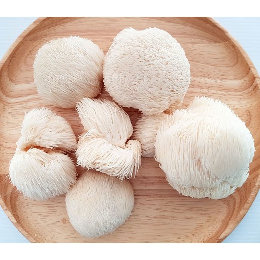 lion’s mane mushrooms benefits our health. eating lion’s mane mushroom benefit our health. lion’s mane mushrooms benefit us nutritionally. lion’s mane mushrooms could protect against Dementia. lion’s mane mushrooms slow down dementia. lion’s mane mushrooms may reduce the risk of dementia. ways to reduce risk of dementia. good diet to reduce dementia risk. how to reduce risk of dementia? what is good to prevent dementia? which food is good to prevent dementia? what to eat for dementia? lion’s mane mushrooms could protect against Alzheimer’s disease. lion’s mane mushrooms may reduce the risk of Alzheimer’s disease. ways to reduce risk of Alzheimer’s disease. good diet to reduce risk of Alzheimer’s disease. how to reduce risk of Alzheimer’s disease? what is good to prevent Alzheimer’s disease? which food is good to prevent Alzheimer’s disease? what to eat for Alzheimer’s disease? lion’s mane mushrooms help to relieve depression symptoms. lion’s mane mushrooms reduce depression symptoms. lion’s mane mushrooms reduce anxiety symptoms. good diet to reduce depression. good diet to reduce anxiety.  how to reduce depression? how to reduce anxiety? what is good to help depression? what is good to help anxiety? which food is good to help depression? which food is good to help anxiety? what to eat for depression? what to eat for anxiety? lion’s mane mushrooms may speed recovery from nervous system injuries. eating lion’s mane mushrooms recover nervous system quicker. ways to recover nervous system. how to recover nervous system? what is good to eat for nervous system? which food is good for nerve system. lion’s mane mushrooms may protect against ulcers in the digestive tract. lion’s mane mushrooms may cue ulcer. lion’s mane mushrooms may cue stomach ulcers. Lion’s mane mushrooms may cue intestinal ulcers. Lion’s mane mushrooms help digestive system. lion’s mane mushrooms may reduce risk of heart disease. lion’s mane mushrooms may reduce the risk of heart disease. ways to reduce risk of heart disease. good diet to reduce heart disease risk. how to reduce risk of heart disease? what is good to prevent heart disease? which food is good to prevent heart disease? what to eat for heart disease? lion’s mane mushrooms may help manage diabetes symptoms. lion’s mane mushroom can help lower blood sugar. lion’s mane mushroom can reduce diabetic nerve pain. Lion’s mane mushrooms may control blood sugar levels. Lion’s mane mushrooms are good to control blood sugar. ways to control blood sugar. good diet to control blood sugar. how to control blood sugar? what is good to control blood sugar? which food is good to control blood sugar? what can I do to control blood sugar? what to eat to control blood sugar? lion’s mane mushrooms may help fight cancer. lion’s mane mushrooms have cancer-fighting properties. eating lion’s mane mushrooms may fight cancer. lion’s mane mushrooms are good to prevent cancer. lion’s mane mushrooms lower the risk of cancer. ways to prevent cancer. good diet to prevent cancer. how to protect against cancer? what is good to prevent cancer? which food is good to prevent cancer? what to eat to prevent cancer. lion’s mane mushrooms may reduce inflammation.  lion’s mane mushrooms may oxidative stress. lion’s mane mushroom contains antioxidants.   lion’s mane mushroom contains anti-inflammatory compounds. Lion’s mane mushrooms may help reduce the impact of chronic illness. Lion’s mane mushrooms may reduce the risk of chronic illness. ways to reduce risk of chronic illness. good diet to reduce risk of chronic illness. how to reduce risk of chronic illness? what is good to prevent chronic disease? which food is good to prevent chronic disease? what to eat for chronic disease? lion’s mane mushrooms may boost the immune system. lion’s mane mushrooms may enhance immune function. lion’s mane mushroom support immune health. lion’s mane mushroom recipe and video. recipe and video to use lion’s mane mushrooms. listen to the nutritional benefit of lion’s mane mushrooms.  listen to the nutritional benefit of lion’s mane mushrooms. veganvv editor’s view on health. veganvv editor’s opinion on human health. our view on human health. how do we see human health? what should I do when there is no illness? what can I do when I am not sick? can I do something when I am not sick? what can I do now? what should I eat when I am not sick? what should I eat to prevent diseases? what should I eat to prevent illness? what do I need to prevent illness? what do I need to prevent disease? how can I do to prevent illness? how do I prevent illness? how do I prevent disease? what food should I eat now? which food should I eat now? which food shall I eat now? what food shall I eat now? what is healthy diet? prevention diet? how should I choose new food? how may I choose new plants? which food is my best food? what food is my best food? which food suits me most? What food suits me most? the best direction of my diet. how to choose my food? how to choose new food? what should I notice when choosing new food? what should I consider when choose new food? is it difficult to change my diet? why should I eat plants? why should I eat new things? am I healthy? disease prevention.  how to try new food? how to try new plants? the way to try new food? the procedure to try new food? do’s and don’s when trying new food. do’s and don’s on new diet. try new food properly. test new food properly. bells and wishers on new diet. do’s and don’s on plant based diet. do’s and don’s on plant-based diet. bells and wishers on plant based diet. bells and wishers on plant-based diet. cook beef at high temperature may cause cancer.  cook pork at high temperature may cause cancer.  cook lamb at high temperature may cause cancer. cook chicken at high temperature may cause cancer.  cook duck at high temperature may cause cancer.  cook fish at high temperature may cause cancer.  cook meat at high temperature may cause cancer.  cook poultry at high temperature may cause cancer.  cook sea food at high temperature may cause cancer.  cook animal meat at high temperature may cause cancer.   fry beef at high temperature may cause cancer.  fry pork at high temperature may cause cancer. fry lamb at high temperature may cause cancer.  fry chicken at high temperature may cause cancer.  fry duck at high temperature may cause cancer.  fry fish at high temperature may cause cancer.  fry meat at high temperature may cause cancer.  fry poultry at high temperature may cause cancer.  fry sea food at high temperature may cause cancer.  fry animal meat at high temperature may cause cancer.   boil beef at high temperature may cause cancer.  boil pork at high temperature may cause cancer.  boil lamb at high temperature may cause cancer. boil chicken at high temperature may cause cancer.  boil duck at high temperature may cause cancer.  boil fish at high temperature may cause cancer.  boil meat at high temperature may cause cancer.  boil poultry at high temperature may cause cancer.  boil sea food at high temperature may cause cancer.  boil animal meat at high temperature may cause cancer.   barbecue beef at high temperature may cause cancer.  barbecue pork at high temperature may cause cancer.  barbecue lamb at high temperature may cause cancer. barbecue chicken at high temperature may cause cancer.  barbecue duck at high temperature may cause cancer.  barbecue fish at high temperature may cause cancer.  barbecue meat at high temperature may cause cancer.  barbecue poultry at high temperature may cause cancer.  barbecue sea food at high temperature may cause cancer.  barbecue animal meat at high temperature may cause cancer.   roast beef at high temperature may cause cancer.  roast pork at high temperature may cause cancer.  roast lamb at high temperature may cause cancer. roast chicken at high temperature may cause cancer.  roast duck at high temperature may cause cancer.  roast fish at high temperature may cause cancer.  roast meat at high temperature may cause cancer.  roast poultry at high temperature may cause cancer.  roast sea food at high temperature may cause cancer.  roast animal meat at high temperature may cause cancer.  