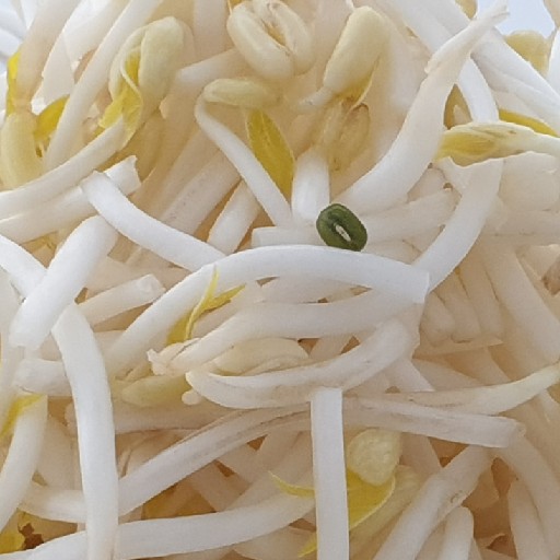 eating bean sprouts benefits our health. bean sprouts benefit our health. nutritional benefits of bean sprouts. bean sprouts may reduce anxiety and stress. bean sprouts are good for stress relieve. how may I relieve stress?  how can I get rid of anxiety? which food is good for mood? which food is good to relieve stress? what can I eat to reduce stress? bean sprouts support good sleep. bean sprouts may promote sleep. how to get good sleep? how to sleep well? how to avoid bad sleep? ways to have good sleep. good diet to keep good sleep. what is good for good sleep. which food is good for sleep? what to eat for good sleep? how to improve sleep? what to eat to improve sleep? bean sprouts may build immunity. bean sprouts help build immune system. bean sprouts are packed with antioxidants. bean sprouts help build your immune system. bean sprouts are good for immune health. ways to protect immune system. how to keep my immune healthy? what to eat to maintain healthy immune system? bean sprouts may support heart health. bean sprouts may reduce the risk of heart disease. ways to reduce risk of heart disease. good diet to reduce heart disease risk. how to reduce risk of heart disease? what is good to prevent heart disease? which food is good to prevent heart disease? what to eat for heart disease? bean sprouts may support weight loss. bean sprouts support weight management. bean sprouts is low in calories. bean sprouts help to lose weight. which food can I eat to lose weight? ways to lose weight. what can I eat to lose weight? what are the food that I can eat to lose weight? bean sprouts support skin cares. bean sprouts help minimize the appearance of wrinkles and scars. bean sprouts improve skin elasticity. bean sprouts keep you looking younger for longer. bean sprouts are good for skins. bean sprouts have anti-aging effect. eating bean sprouts may delay aging. bean sprouts are the food to slow down aging. bean sprouts prevent wrinkles formation. which food can prevent wrinkles? what to eat to prevent wrinkles? how can I prevent wrinkles? good eating habit to slow down aging. how to slow down aging? which good is anti-aging? which food can delay aging? bean sprouts may improve digestion. bean sprouts may improve gut health. ways to improve gut health.  good diet to protect gut health. how can I heal my gut? how can I heal my digestive system? things to do for my gut. things to do for my digestive system. things to eat for my gut.  what can I eat for my gut health? what should I eat for my gut?  what can I eat for my digestive system? what should I eat for my digestive system? help for gut. help for digestive system. bean sprouts optimise metabolism. bean sprouts improve metabolism. bean sprouts are great for energy metabolism. bean sprouts may increase circulation. bean sprouts help with anemia. bean sprouts may reduce the risk of anemia. ways to reduce risk of anemia. good diet to reduce anemia risk. how to reduce risk of anemia? what is good to prevent anemia? which food is good to prevent anemia? what to eat for anemia? bean sprouts may regulate bone density. Bean sprouts prevent osteoporosis. bean sprouts may strengthen bones. bean sprouts are good for bone health. bean sprouts lower the risk of fracture. ways to protect our bones. how to protect our bones? what is good for my bones? which food is good for my bones? what to eat for my bones? bean sprouts may prevent birth defects. bean sprouts are high in folic acid.  beans sprouts support healthy pregnancy. what to eat for pregnant woman? what should I eat when pregnant? bean sprouts provide supportive help in pregnancy. bean sprouts may increase white blood cell count. eating bean sprouts may produce more white blood cell. good way to increase WBC. how to increase white blood cell? bean sprouts may balance cholesterol levels. bean sprouts may control cholesterol. bean sprouts are good to control cholesterol. ways to control cholesterol. good diet to control cholesterol. how to control cholesterol? what is good to control cholesterol? which food is good to control cholesterol? what can I do to control cholesterol? what to eat to control cholesterol? tofu may control bad cholesterol. eating tofu may control bad cholesterol. ways to control bad cholesterol. good diet to control bad cholesterol. how to control bad cholesterol? what is good to control bad cholesterol? which food is good to control bad cholesterol? what can I do to control bad cholesterol? what to eat to control bad cholesterol? tofu may control LDL. eating bean sprouts may control LDL. ways to control LDL. good diet to control LDL. how to control LDL? what is good to control LDL? which food is good to control LDL? what can I do to control LDL? what to eat to control LDL? bean sprouts lower the risk of stroke. bean sprouts lower the risk of heart attack. bean sprouts may speed up healing. bean sprouts provide great help in wound healing. bean sprouts protect you from infection. bean sprouts produce collagen.  bean sprouts recipe and video. recipe and video to use bean sprouts. listen to the nutritional benefits of bean sprouts. veganvv editor’s view on health. veganvv editor’s opinion on human health. our view on human health. how do we see human health? what should I do when there is no illness? what can I do when I am not sick? can I do something when I am not sick? what can I do now? what should I eat when I am not sick? what should I eat to prevent diseases? what should I eat to prevent illness? what do I need to prevent illness? what do I need to prevent disease? how can I do to prevent illness? how do I prevent illness? how do I prevent disease? what food should I eat now? which food should I eat now? which food shall I eat now? what food shall I eat now? what is healthy diet? prevention diet? how should I choose new food? how may I choose new plants? which food is my best food? what food is my best food? which food suits me most? What food suits me most? the best direction of my diet. how to choose my food? how to choose new food? what should I notice when choosing new food? what should I consider when choose new food? is it difficult to change my diet? why should I eat plants? why should I eat new things? am I healthy? disease prevention.  how to try new food? how to try new plants? the way to try new food? the procedure to try new food? do’s and don’s when trying new food. do’s and don’s on new diet. try new food properly. test new food properly. bells and wishers on new diet. do’s and don’s on plant based diet. do’s and don’s on plant-based diet. bells and wishers on plant based diet. bells and wishers on plant-based diet. cook beef at high temperature may cause cancer.  cook pork at high temperature may cause cancer.  cook lamb at high temperature may cause cancer. cook chicken at high temperature may cause cancer.  cook duck at high temperature may cause cancer.  cook fish at high temperature may cause cancer.  cook meat at high temperature may cause cancer.  cook poultry at high temperature may cause cancer.  cook sea food at high temperature may cause cancer.  cook animal meat at high temperature may cause cancer.   fry beef at high temperature may cause cancer.  fry pork at high temperature may cause cancer. fry lamb at high temperature may cause cancer.  fry chicken at high temperature may cause cancer.  fry duck at high temperature may cause cancer.  fry fish at high temperature may cause cancer.  fry meat at high temperature may cause cancer.  fry poultry at high temperature may cause cancer.  fry sea food at high temperature may cause cancer.  fry animal meat at high temperature may cause cancer.   boil beef at high temperature may cause cancer.  boil pork at high temperature may cause cancer.  boil lamb at high temperature may cause cancer. boil chicken at high temperature may cause cancer.  boil duck at high temperature may cause cancer.  boil fish at high temperature may cause cancer.  boil meat at high temperature may cause cancer.  boil poultry at high temperature may cause cancer.  boil sea food at high temperature may cause cancer.  boil animal meat at high temperature may cause cancer.   barbecue beef at high temperature may cause cancer.  barbecue pork at high temperature may cause cancer.  barbecue lamb at high temperature may cause cancer. barbecue chicken at high temperature may cause cancer.  barbecue duck at high temperature may cause cancer.  barbecue fish at high temperature may cause cancer.  barbecue meat at high temperature may cause cancer.  barbecue poultry at high temperature may cause cancer.  barbecue sea food at high temperature may cause cancer.  barbecue animal meat at high temperature may cause cancer.   roast beef at high temperature may cause cancer.  roast pork at high temperature may cause cancer.  roast lamb at high temperature may cause cancer. roast chicken at high temperature may cause cancer.  roast duck at high temperature may cause cancer.  roast fish at high temperature may cause cancer.  roast meat at high temperature may cause cancer.  roast poultry at high temperature may cause cancer.  roast sea food at high temperature may cause cancer.  roast animal meat at high temperature may cause cancer.  