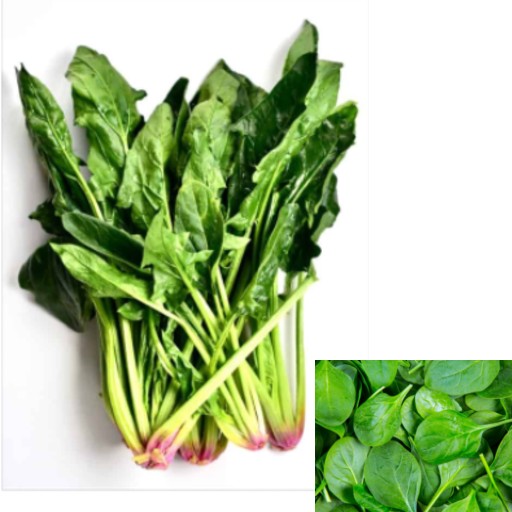 eating spinach benefits our health. spinach benefits our health. nutritional benefits of spinach.  spinach may slow down aging. spinach may reduce cancer risk. spinach may reduce risk of diabetes. spinach has anti-aging effect. eating tempeh may delay aging. spinach is the food to slow down aging. good eating habit to slow down aging. how to slow down aging? which good is anti-aging? which food can delay aging? spinach have cancer-fighting properties. spinach have antioxidants. eating spinach may fight cancer. spinach is good to prevent cancer. spinach lower the risk of cancer. ways to prevent cancer. good diet to prevent cancer. how to protect against cancer? what is good to prevent cancer? which food is good to prevent cancer? what to eat to prevent cancer. spinach may reduce the risk of diabetes. spinach is anti-diabetic. ways to reduce risk of diabetes. good diet to reduce diabetes risk. how to reduce risk of diabetes? what is good to prevent diabetes? which food is good to prevent diabetes? what to eat for diabetes? spinach my promote eye health. spinach may improve vision. spinach is good for eye health. ways to protect eyes. good diet to keep eye health. how to protect my eye health? what is good for my eyes? which food is good for my eyes? what to eat for my eyes? spinach may prevent cancer. spinach may regulate blood pressure. spinach may lower high blood pressure. spinach may reduce risk of high blood pressure. how to prevent high blood pressure? how to lower high blood pressure? ways to lower high blood pressure. what is good to lower high blood pressure. good diet to lower high blood pressure. what to eat to lower high blood pressure? which food is good to lower high blood pressure? spinach may decrease your risk of heart disease. spinach may reduce the risk of heart disease. ways to reduce risk of heart disease. good diet to reduce heart disease risk. how to reduce risk of heart disease? what is good to prevent heart disease? which food is good to prevent heart disease? what to eat for heart disease? spinach may help prevent constipation. eating spinach may help prevent constipation. spinach may improve gut health. ways to improve gut health.  good diet to protect gut health. how can I heal my gut? how can I heal my digestive system? things to do for my gut. things to do for my digestive system. things to eat for my gut.  what can I eat for my gut health? what should I eat for my gut?  what can I eat for my digestive system? what should I eat for my digestive system? help for gut. help for digestive system. spinach recipe and video. recipe and video to use spinach.  listen to the nutritional benefits of spinach. listen to the nutritional benefits of spinach. veganvv editor’s view on health. veganvv editor’s opinion on human health. our view on human health. how do we see human health? what should I do when there is no illness? what can I do when I am not sick? can I do something when I am not sick? what can I do now? what should I eat when I am not sick? what should I eat to prevent diseases? what should I eat to prevent illness? what do I need to prevent illness? what do I need to prevent disease? how can I do to prevent illness? how do I prevent illness? how do I prevent disease? what food should I eat now? which food should I eat now? which food shall I eat now? what food shall I eat now? what is healthy diet? prevention diet? how should I choose new food? how may I choose new plants? which food is my best food? what food is my best food? which food suits me most? What food suits me most? the best direction of my diet. how to choose my food? how to choose new food? what should I notice when choosing new food? what should I consider when choose new food? is it difficult to change my diet? why should I eat plants? why should I eat new things? am I healthy? disease prevention.  how to try new food? how to try new plants? the way to try new food? the procedure to try new food? do’s and don’s when trying new food. do’s and don’s on new diet. try new food properly. test new food properly. bells and wishers on new diet. do’s and don’s on plant based diet. do’s and don’s on plant-based diet. bells and wishers on plant based diet. bells and wishers on plant-based diet. cook beef at high temperature may cause cancer.  cook pork at high temperature may cause cancer.  cook lamb at high temperature may cause cancer. cook chicken at high temperature may cause cancer.  cook duck at high temperature may cause cancer.  cook fish at high temperature may cause cancer.  cook meat at high temperature may cause cancer.  cook poultry at high temperature may cause cancer.  cook sea food at high temperature may cause cancer.  cook animal meat at high temperature may cause cancer.   fry beef at high temperature may cause cancer.  fry pork at high temperature may cause cancer. fry lamb at high temperature may cause cancer.  fry chicken at high temperature may cause cancer.  fry duck at high temperature may cause cancer.  fry fish at high temperature may cause cancer.  fry meat at high temperature may cause cancer.  fry poultry at high temperature may cause cancer.  fry sea food at high temperature may cause cancer.  fry animal meat at high temperature may cause cancer.   boil beef at high temperature may cause cancer.  boil pork at high temperature may cause cancer.  boil lamb at high temperature may cause cancer. boil chicken at high temperature may cause cancer.  boil duck at high temperature may cause cancer.  boil fish at high temperature may cause cancer.  boil meat at high temperature may cause cancer.  boil poultry at high temperature may cause cancer.  boil sea food at high temperature may cause cancer.  boil animal meat at high temperature may cause cancer.   barbecue beef at high temperature may cause cancer.  barbecue pork at high temperature may cause cancer.  barbecue lamb at high temperature may cause cancer. barbecue chicken at high temperature may cause cancer.  barbecue duck at high temperature may cause cancer.  barbecue fish at high temperature may cause cancer.  barbecue meat at high temperature may cause cancer.  barbecue poultry at high temperature may cause cancer.  barbecue sea food at high temperature may cause cancer.  barbecue animal meat at high temperature may cause cancer.   roast beef at high temperature may cause cancer.  roast pork at high temperature may cause cancer.  roast lamb at high temperature may cause cancer. roast chicken at high temperature may cause cancer.  roast duck at high temperature may cause cancer.  roast fish at high temperature may cause cancer.  roast meat at high temperature may cause cancer.  roast poultry at high temperature may cause cancer.  roast sea food at high temperature may cause cancer.  roast animal meat at high temperature may cause cancer.  