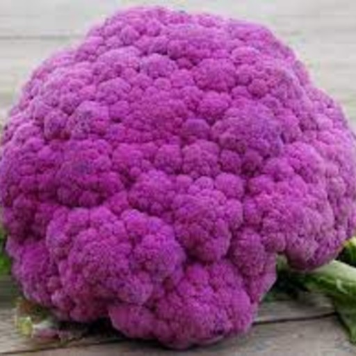 eating purple cauliflower benefits our health. purple cauliflower benefits our health. nutritional benefits of purple cauliflower. purple cauliflower improves gut health. purple cauliflower prevents constipation. purple cauliflower may improve gut health. ways to improve gut health.  good diet to protect gut health. how can I heal my gut? how can I heal my digestive system? things to do for my gut. things to do for my digestive system. things to eat for my gut.  what can I eat for my gut health? what should I eat for my gut?  what can I eat for my digestive system? what should I eat for my digestive system? help for gut. help for digestive system. purple cauliflower is good for constipation. purple cauliflower may lower the risk of type-2 diabetes. purple cauliflower may lower the risk of cardiovascular diseases. purple cauliflower may lower the risk of cancer cell formation. purple cauliflower may reduce the risk of diabetes. purple cauliflower is anti-diabetic. ways to reduce risk of diabetes. good diet to reduce diabetes risk. how to reduce risk of diabetes? what is good to prevent diabetes? which food is good to prevent diabetes? what to eat for diabetes? purple cauliflower may reduce the risk of cardiovascular diseases. ways to reduce risk of cardiovascular diseases. good diet to reduce cardiovascular diseases risk. how to reduce risk of cardiovascular diseases? what is good to prevent cardiovascular diseases? which food is good to prevent cardiovascular diseases? what to eat for cardiovascular diseases? purple cauliflower has cancer-fighting properties. purple cauliflower has antioxidants. eating purple cauliflower may fight cancer. purple cauliflower is good to prevent cancer. purple cauliflower lowers the risk of cancer. ways to prevent cancer. good diet to prevent cancer. how to protect against cancer? what is good to prevent cancer? which food is good to prevent cancer? what to eat to prevent cancer. purple cauliflower may promote heart health. purple cauliflower may support liver function. purple cauliflower may reduce the risk of heart disease. ways to reduce risk of heart disease. good diet to reduce heart disease risk. how to reduce risk of heart disease? what is good to prevent heart disease? which food is good to prevent heart disease? what to eat for heart disease? purple cauliflower is good for liver. purple cauliflower helps liver function. purple cauliflower may improve immunity. purple cauliflower maintains healthy bones. purple cauliflower maintains healthy skin. purple cauliflower helps build immune system. purple cauliflower is packed with antioxidants. purple cauliflower help build your immune system. purple cauliflower is good for immune health. ways to protect immune system. how to keep my immune healthy? what to eat to maintain healthy immune system? purple cauliflower may strengthen bones. purple cauliflower is good for bone health. purple cauliflower lowers the risk of fracture. ways to protect our bones. how to protect our bones? what is good for my bones? which food is good for my bones? what to eat for my bones? purple cauliflower is good for skin. what is good for skin? which food is good for skin? purple cauliflower is essential for heart health. purple cauliflower can help our heart. purple cauliflower recipe and video. recipe and video to use purple cauliflower. listen to the nutritional benefits of purple cauliflower. veganvv editor’s view on health. veganvv editor’s opinion on human health. our view on human health. how do we see human health? what should I do when there is no illness? what can I do when I am not sick? can I do something when I am not sick? what can I do now? what should I eat when I am not sick? what should I eat to prevent diseases? what should I eat to prevent illness? what do I need to prevent illness? what do I need to prevent disease? how can I do to prevent illness? how do I prevent illness? how do I prevent disease? what food should I eat now? which food should I eat now? which food shall I eat now? what food shall I eat now? what is healthy diet? prevention diet? how should I choose new food? how may I choose new plants? which food is my best food? what food is my best food? which food suits me most? What food suits me most? the best direction of my diet. how to choose my food? how to choose new food? what should I notice when choosing new food? what should I consider when choose new food? is it difficult to change my diet? why should I eat plants? why should I eat new things? am I healthy? disease prevention.  how to try new food? how to try new plants? the way to try new food? the procedure to try new food? do’s and don’s when trying new food. do’s and don’s on new diet. try new food properly. test new food properly. bells and wishers on new diet. do’s and don’s on plant based diet. do’s and don’s on plant-based diet. bells and wishers on plant based diet. bells and wishers on plant-based diet. cook beef at high temperature may cause cancer.  cook pork at high temperature may cause cancer.  cook lamb at high temperature may cause cancer. cook chicken at high temperature may cause cancer.  cook duck at high temperature may cause cancer.  cook fish at high temperature may cause cancer.  cook meat at high temperature may cause cancer.  cook poultry at high temperature may cause cancer.  cook sea food at high temperature may cause cancer.  cook animal meat at high temperature may cause cancer.   fry beef at high temperature may cause cancer.  fry pork at high temperature may cause cancer. fry lamb at high temperature may cause cancer.  fry chicken at high temperature may cause cancer.  fry duck at high temperature may cause cancer.  fry fish at high temperature may cause cancer.  fry meat at high temperature may cause cancer.  fry poultry at high temperature may cause cancer.  fry sea food at high temperature may cause cancer.  fry animal meat at high temperature may cause cancer.   boil beef at high temperature may cause cancer.  boil pork at high temperature may cause cancer.  boil lamb at high temperature may cause cancer. boil chicken at high temperature may cause cancer.  boil duck at high temperature may cause cancer.  boil fish at high temperature may cause cancer.  boil meat at high temperature may cause cancer.  boil poultry at high temperature may cause cancer.  boil sea food at high temperature may cause cancer.  boil animal meat at high temperature may cause cancer.   barbecue beef at high temperature may cause cancer.  barbecue pork at high temperature may cause cancer.  barbecue lamb at high temperature may cause cancer. barbecue chicken at high temperature may cause cancer.  barbecue duck at high temperature may cause cancer.  barbecue fish at high temperature may cause cancer.  barbecue meat at high temperature may cause cancer.  barbecue poultry at high temperature may cause cancer.  barbecue sea food at high temperature may cause cancer.  barbecue animal meat at high temperature may cause cancer.   roast beef at high temperature may cause cancer.  roast pork at high temperature may cause cancer.  roast lamb at high temperature may cause cancer. roast chicken at high temperature may cause cancer.  roast duck at high temperature may cause cancer.  roast fish at high temperature may cause cancer.  roast meat at high temperature may cause cancer.  roast poultry at high temperature may cause cancer.  roast sea food at high temperature may cause cancer.  roast animal meat at high temperature may cause cancer.  