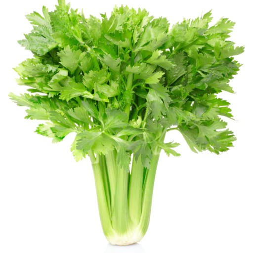 eating celery benefits our health. celery benefits our health. nutritional benefits of celery. celery may support heart health.  celery may reduce the risk of heart disease. ways to reduce risk of heart disease. good diet to reduce heart disease risk. how to reduce risk of heart disease? what is good to prevent heart disease? which food is good to prevent heart disease? what to eat for heart disease? celery may support digestive function. celery may improve gut health. ways to improve gut health.  good diet to protect gut health. how can I heal my gut? how can I heal my digestive system? things to do for my gut. things to do for my digestive system. things to eat for my gut.  what can I eat for my gut health? what should I eat for my gut?  what can I eat for my digestive system? what should I eat for my digestive system? help for gut. help for digestive system. celery may suppress inflammation. eating celery may help arthritis. celery may protect you against inflammation.  celery may improve memory. celery could protect against Dementia. celery slow down dementia. celery may reduce the risk of dementia. ways to reduce risk of dementia. good diet to reduce dementia risk. how to reduce risk of dementia? what is good to prevent dementia? which food is good to prevent dementia? what to eat for dementia? lion’s mane mushrooms could protect against Alzheimer’s disease. lion’s mane mushrooms may reduce the risk of Alzheimer’s disease. ways to reduce risk of Alzheimer’s disease. good diet to reduce risk of Alzheimer’s disease. how to reduce risk of Alzheimer’s disease? what is good to prevent Alzheimer’s disease? which food is good to prevent Alzheimer’s disease? what to eat for Alzheimer’s disease? celery may help manage blood sugar. celery may control blood sugar levels. celery may improve insulin resistance. celery is good to control blood sugar. ways to control blood sugar. good diet to control blood sugar. how to control blood sugar? what is good to control blood sugar? which food is good to control blood sugar? what can I do to control blood sugar? what to eat to control blood sugar? celery may help weight management. celery supports weight management. celery is low in calories. celery is low in fat content. celery helps to lose weight. which food can I eat to lose weight? ways to lose weight. what can I eat to lose weight? what are the food that I can eat to lose weight? celery recipe and video. recipe and video to use celery. listen to the nutritional benefits of celery. veganvv editor’s view on health. veganvv editor’s opinion on human health. our view on human health. how do we see human health? what should I do when there is no illness? what can I do when I am not sick? can I do something when I am not sick? what can I do now? what should I eat when I am not sick? what should I eat to prevent diseases? what should I eat to prevent illness? what do I need to prevent illness? what do I need to prevent disease? how can I do to prevent illness? how do I prevent illness? how do I prevent disease? what food should I eat now? which food should I eat now? which food shall I eat now? what food shall I eat now? what is healthy diet? prevention diet? how should I choose new food? how may I choose new plants? which food is my best food? what food is my best food? which food suits me most? What food suits me most? the best direction of my diet. how to choose my food? how to choose new food? what should I notice when choosing new food? what should I consider when choose new food? is it difficult to change my diet? why should I eat plants? why should I eat new things? am I healthy? disease prevention.  how to try new food? how to try new plants? the way to try new food? the procedure to try new food? do’s and don’s when trying new food. do’s and don’s on new diet. try new food properly. test new food properly. bells and wishers on new diet. do’s and don’s on plant based diet. do’s and don’s on plant-based diet. bells and wishers on plant based diet. bells and wishers on plant-based diet. cook beef at high temperature may cause cancer.  cook pork at high temperature may cause cancer.  cook lamb at high temperature may cause cancer. cook chicken at high temperature may cause cancer.  cook duck at high temperature may cause cancer.  cook fish at high temperature may cause cancer.  cook meat at high temperature may cause cancer.  cook poultry at high temperature may cause cancer.  cook sea food at high temperature may cause cancer.  cook animal meat at high temperature may cause cancer.   fry beef at high temperature may cause cancer.  fry pork at high temperature may cause cancer. fry lamb at high temperature may cause cancer.  fry chicken at high temperature may cause cancer.  fry duck at high temperature may cause cancer.  fry fish at high temperature may cause cancer.  fry meat at high temperature may cause cancer.  fry poultry at high temperature may cause cancer.  fry sea food at high temperature may cause cancer.  fry animal meat at high temperature may cause cancer.   boil beef at high temperature may cause cancer.  boil pork at high temperature may cause cancer.  boil lamb at high temperature may cause cancer. boil chicken at high temperature may cause cancer.  boil duck at high temperature may cause cancer.  boil fish at high temperature may cause cancer.  boil meat at high temperature may cause cancer.  boil poultry at high temperature may cause cancer.  boil sea food at high temperature may cause cancer.  boil animal meat at high temperature may cause cancer.   barbecue beef at high temperature may cause cancer.  barbecue pork at high temperature may cause cancer.  barbecue lamb at high temperature may cause cancer. barbecue chicken at high temperature may cause cancer.  barbecue duck at high temperature may cause cancer.  barbecue fish at high temperature may cause cancer.  barbecue meat at high temperature may cause cancer.  barbecue poultry at high temperature may cause cancer.  barbecue sea food at high temperature may cause cancer.  barbecue animal meat at high temperature may cause cancer.   roast beef at high temperature may cause cancer.  roast pork at high temperature may cause cancer.  roast lamb at high temperature may cause cancer. roast chicken at high temperature may cause cancer.  roast duck at high temperature may cause cancer.  roast fish at high temperature may cause cancer.  roast meat at high temperature may cause cancer.  roast poultry at high temperature may cause cancer.  roast sea food at high temperature may cause cancer.  roast animal meat at high temperature may cause cancer.  