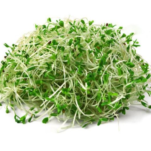 eating alfalfa sprouts benefits our health. alfalfa sprouts benefit our health. nutritional benefits of alfalfa sprouts. alfalfa sprouts minimize the risk of cancer. alfalfa sprouts have cancer-fighting properties. alfalfa sprouts have antioxidants. eating alfalfa sprouts may fight cancer. alfalfa sprouts are good to prevent cancer. button mushrooms lower the risk of cancer. ways to prevent cancer. good diet to prevent cancer. how to protect against cancer? what is good to prevent cancer? which food is good to prevent cancer? what to eat to prevent cancer. alfalfa sprouts may treat menopause irregularities. alfalfa sprouts may treat menstruation irregularities. alfalfa sprouts may help women. alfalfa sprouts may reduce menopause symptoms.  alfalfa sprouts may help in weight loss. alfalfa sprouts support weight management. alfalfa sprouts is low in calories. alfalfa sprouts are low in fat content. alfalfa sprouts help to lose weight. which food can I eat to lose weight? ways to lose weight. what can I eat to lose weight? what are the food that I can eat to lose weight? alfalfa sprouts prevent diabetes. alfalfa sprouts may reduce the risk of diabetes. alfalfa sprouts are anti-diabetic. ways to reduce risk of diabetes. good diet to reduce diabetes risk. how to reduce risk of diabetes? what is good to prevent diabetes? which food is good to prevent diabetes? what to eat for diabetes? alfalfa sprouts may lower cholesterol levels. alfalfa sprouts may control cholesterol. alfalfa sprouts is good to control cholesterol. ways to control cholesterol. good diet to control cholesterol. how to control cholesterol? what is good to control cholesterol? which food is good to control cholesterol? what can I do to control cholesterol? what to eat to control cholesterol? alfalfa sprouts may control bad cholesterol. eating alfalfa sprouts may control bad cholesterol. ways to control bad cholesterol. good diet to control bad cholesterol. how to control bad cholesterol? what is good to control bad cholesterol? which food is good to control bad cholesterol? what can I do to control bad cholesterol? what to eat to control bad cholesterol? tofu may control LDL. eating alfalfa sprouts may control LDL. ways to control LDL. good diet to control LDL. how to control LDL? what is good to control LDL? which food is good to control LDL? what can I do to control LDL? what to eat to control LDL? alfalfa sprouts may boost immune system. alfalfa sprouts help build immune system. alfalfa sprouts are packed with antioxidants. alfalfa sprouts help build your immune system. alfalfa sprouts are good for immune health. ways to protect immune system. how to keep my immune healthy? what to eat to maintain healthy immune system? alfalfa sprouts may improve digestion. alfalfa sprouts may improve gut health. ways to improve gut health.  good diet to protect gut health. how can I heal my gut? how can I heal my digestive system? things to do for my gut. things to do for my digestive system. things to eat for my gut.  what can I eat for my gut health? what should I eat for my gut?  what can I eat for my digestive system? what should I eat for my digestive system? help for gut. help for digestive system. alfalfa sprouts promote body growth and repair. alfalfa sprouts help the body grow. alfalfa sprouts support body grow well. alfalfa sprouts help our body repair. alfalfa sprouts speed up healing process. alfalfa sprouts help wound healing. eating alfalfa sprouts, wound heal quickly. alfalfa sprouts prevent osteoporosis. alfalfa sprouts may strengthen bones. alfalfa sprouts are good for bone health. alfalfa sprouts lower the risk of fracture. ways to protect our bones. how to protect our bones? what is good for my bones? which food is good for my bones? what to eat for my bones? alfalfa sprouts may stimulate metabolism. alfalfa sprouts provide B vitamins. alfalfa sprouts may support skin health. alfalfa sprouts may delay aging. alfalfa sprouts has anti-aging effect. eating alfalfa sprouts may delay aging. alfalfa sprouts is the food to slow down aging. tempeh prevents wrinkles formation. which food can prevent wrinkles? what to eat to prevent wrinkles? how can I prevent wrinkles? good eating habit to slow down aging. how to slow down aging? which good is anti-aging? which food can delay aging? alfalfa sprouts recipe and video. recipe and video to use alfalfa sprouts. recipe and video to use long beans. listen to the nutritional benefits of alfalfa sprouts.  veganvv editor’s view on health. veganvv editor’s opinion on human health. our view on human health. how do we see human health? what should I do when there is no illness? what can I do when I am not sick? can I do something when I am not sick? what can I do now? what should I eat when I am not sick? what should I eat to prevent diseases? what should I eat to prevent illness? what do I need to prevent illness? what do I need to prevent disease? how can I do to prevent illness? how do I prevent illness? how do I prevent disease? what food should I eat now? which food should I eat now? which food shall I eat now? what food shall I eat now? what is healthy diet? prevention diet? how should I choose new food? how may I choose new plants? which food is my best food? what food is my best food? which food suits me most? What food suits me most? the best direction of my diet. how to choose my food? how to choose new food? what should I notice when choosing new food? what should I consider when choose new food? is it difficult to change my diet? why should I eat plants? why should I eat new things? am I healthy? disease prevention.  how to try new food? how to try new plants? the way to try new food? the procedure to try new food? do’s and don’s when trying new food. do’s and don’s on new diet. try new food properly. test new food properly. bells and wishers on new diet. do’s and don’s on plant based diet. do’s and don’s on plant-based diet. bells and wishers on plant based diet. bells and wishers on plant-based diet. cook beef at high temperature may cause cancer.  cook pork at high temperature may cause cancer.  cook lamb at high temperature may cause cancer. cook chicken at high temperature may cause cancer.  cook duck at high temperature may cause cancer.  cook fish at high temperature may cause cancer.  cook meat at high temperature may cause cancer.  cook poultry at high temperature may cause cancer.  cook sea food at high temperature may cause cancer.  cook animal meat at high temperature may cause cancer.   fry beef at high temperature may cause cancer.  fry pork at high temperature may cause cancer. fry lamb at high temperature may cause cancer.  fry chicken at high temperature may cause cancer.  fry duck at high temperature may cause cancer.  fry fish at high temperature may cause cancer.  fry meat at high temperature may cause cancer.  fry poultry at high temperature may cause cancer.  fry sea food at high temperature may cause cancer.  fry animal meat at high temperature may cause cancer.   boil beef at high temperature may cause cancer.  boil pork at high temperature may cause cancer.  boil lamb at high temperature may cause cancer. boil chicken at high temperature may cause cancer.  boil duck at high temperature may cause cancer.  boil fish at high temperature may cause cancer.  boil meat at high temperature may cause cancer.  boil poultry at high temperature may cause cancer.  boil sea food at high temperature may cause cancer.  boil animal meat at high temperature may cause cancer.   barbecue beef at high temperature may cause cancer.  barbecue pork at high temperature may cause cancer.  barbecue lamb at high temperature may cause cancer. barbecue chicken at high temperature may cause cancer.  barbecue duck at high temperature may cause cancer.  barbecue fish at high temperature may cause cancer.  barbecue meat at high temperature may cause cancer.  barbecue poultry at high temperature may cause cancer.  barbecue sea food at high temperature may cause cancer.  barbecue animal meat at high temperature may cause cancer.   roast beef at high temperature may cause cancer.  roast pork at high temperature may cause cancer.  roast lamb at high temperature may cause cancer. roast chicken at high temperature may cause cancer.  roast duck at high temperature may cause cancer.  roast fish at high temperature may cause cancer.  roast meat at high temperature may cause cancer.  roast poultry at high temperature may cause cancer.  roast sea food at high temperature may cause cancer.  roast animal meat at high temperature may cause cancer.  