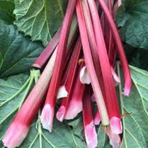 rhubarb benefits our health. eating rhubarb benefits our health. nutritional benefits of rhubarb. rhubarb is essential for bone health. rhubarb is essential for blood clotting. rhubarb may strengthen bones. rhubarb is good for bone health. rhubarb lowers the risk of fracture. ways to protect our bones. how to protect our bones? what is good for my bones? which food is good for my bones? what to eat for my bones? rhubarb keeps your skin healthy and youthful. rhubarb has anti-aging effect. eating rhubarb may delay aging. rhubarb is the food to slow down aging. good eating habit to slow down aging. how to slow down aging? which good is anti-aging? which food can delay aging? rhubarb is good for the skin. rhubarb support skin healthy. rhubarb improves bone health. rhubarb helps you maintain strong, healthy bones. rhubarb helps bone formation. rhubarb can help prevent osteoporosis. rhubarb reduces risk of heart disease.  rhubarb reduces risk of heart attack. rhubarb helps to lower cholesterol. rhubarb may control cholesterol. rhubarb is good to control cholesterol. eating rhubarb may control LDL. rhubarb may control LDL. rhubarb may control bad cholesterol. eating rhubarb may control bad cholesterol.  ways to control cholesterol. good diet to control cholesterol. how to control cholesterol? what is good to control cholesterol? which food is good to control cholesterol? what can I do to control cholesterol? what to eat to control cholesterol? ways to control bad cholesterol. good diet to control bad cholesterol. how to control bad cholesterol? what is good to control bad cholesterol? which food is good to control bad cholesterol? what can I do to control bad cholesterol? what to eat to control bad cholesterol? ways to control LDL. good diet to control LDL. how to control LDL? what is good to control LDL? which food is good to control LDL? what can I do to control LDL? what to eat to control LDL? rhubarb may reduce the risk of heart disease. ways to reduce risk of heart disease. good diet to reduce heart disease risk. how to reduce risk of heart disease? what is good to prevent heart disease? which food is good to prevent heart disease? what to eat for heart disease? rhubarb prevents calcification of blood vessels.  rhubarb protects heart health. rhubarb provides anti-inflammatory effects. rhubarb prevents constipation. rhubarb may improve gut health. ways to improve gut health.  good diet to protect gut health. how can I heal my gut? how can I heal my digestive system? things to do for my gut. things to do for my digestive system. things to eat for my gut.  what can I eat for my gut health? what should I eat for my gut?  what can I eat for my digestive system? what should I eat for my digestive system? help for gut. help for digestive system. rhubarb acts as natural laxative. rhubarb provides anti-diarrheal effect. rhubarb reduces risk of certain cancers. rhubarb has cancer-fighting properties. rhubarb has antioxidants. eating rhubarb may fight cancer. rhubarb is good to prevent cancer. rhubarb lowers the risk of cancer. ways to prevent cancer. good diet to prevent cancer. how to protect against cancer? what is good to prevent cancer? which food is good to prevent cancer? what to eat to prevent cancer. rhubarb helps to fight inflammation. rhubarb extract can help improve wound healing. rhubarb is anti-inflammatory. rhubarb has anti-bacterial properties. rhubarb has anti-inflammatory properties. rhubarb has anti-cancer properties. rhubarb may protect you from heart disease. rhubarb may protect you from cancer. rhubarb may protect you from diabetes. rhubarb may reduce the risk of diabetes. rhubarb is anti-diabetic. ways to reduce risk of diabetes. good diet to reduce diabetes risk. how to reduce risk of diabetes? what is good to prevent diabetes? which food is good to prevent diabetes? what to eat for diabetes? rhubarb recipe and video. recipe and video to use rhubarb.  listen to the nutritional benefits of rhubarb.  veganvv editor’s view on health. veganvv editor’s opinion on human health. our view on human health. how do we see human health? what should I do when there is no illness? what can I do when I am not sick? can I do something when I am not sick? what can I do now? what should I eat when I am not sick? what should I eat to prevent diseases? what should I eat to prevent illness? what do I need to prevent illness? what do I need to prevent disease? how can I do to prevent illness? how do I prevent illness? how do I prevent disease? what food should I eat now? which food should I eat now? which food shall I eat now? what food shall I eat now? what is healthy diet? prevention diet? how should I choose new food? how may I choose new plants? which food is my best food? what food is my best food? which food suits me most? What food suits me most? the best direction of my diet. how to choose my food? how to choose new food? what should I notice when choosing new food? what should I consider when choose new food? is it difficult to change my diet? why should I eat plants? why should I eat new things? am I healthy? disease prevention.  how to try new food? how to try new plants? the way to try new food? the procedure to try new food? do’s and don’s when trying new food. do’s and don’s on new diet. try new food properly. test new food properly. bells and wishers on new diet. do’s and don’s on plant based diet. do’s and don’s on plant-based diet. bells and wishers on plant based diet. bells and wishers on plant-based diet. cook beef at high temperature may cause cancer.  cook pork at high temperature may cause cancer.  cook lamb at high temperature may cause cancer. cook chicken at high temperature may cause cancer.  cook duck at high temperature may cause cancer.  cook fish at high temperature may cause cancer.  cook meat at high temperature may cause cancer.  cook poultry at high temperature may cause cancer.  cook sea food at high temperature may cause cancer.  cook animal meat at high temperature may cause cancer.   fry beef at high temperature may cause cancer.  fry pork at high temperature may cause cancer. fry lamb at high temperature may cause cancer.  fry chicken at high temperature may cause cancer.  fry duck at high temperature may cause cancer.  fry fish at high temperature may cause cancer.  fry meat at high temperature may cause cancer.  fry poultry at high temperature may cause cancer.  fry sea food at high temperature may cause cancer.  fry animal meat at high temperature may cause cancer.   boil beef at high temperature may cause cancer.  boil pork at high temperature may cause cancer.  boil lamb at high temperature may cause cancer. boil chicken at high temperature may cause cancer.  boil duck at high temperature may cause cancer.  boil fish at high temperature may cause cancer.  boil meat at high temperature may cause cancer.  boil poultry at high temperature may cause cancer.  boil sea food at high temperature may cause cancer.  boil animal meat at high temperature may cause cancer.   barbecue beef at high temperature may cause cancer.  barbecue pork at high temperature may cause cancer.  barbecue lamb at high temperature may cause cancer. barbecue chicken at high temperature may cause cancer.  barbecue duck at high temperature may cause cancer.  barbecue fish at high temperature may cause cancer.  barbecue meat at high temperature may cause cancer.  barbecue poultry at high temperature may cause cancer.  barbecue sea food at high temperature may cause cancer.  barbecue animal meat at high temperature may cause cancer.   roast beef at high temperature may cause cancer.  roast pork at high temperature may cause cancer.  roast lamb at high temperature may cause cancer. roast chicken at high temperature may cause cancer.  roast duck at high temperature may cause cancer.  roast fish at high temperature may cause cancer.  roast meat at high temperature may cause cancer.  roast poultry at high temperature may cause cancer.  roast sea food at high temperature may cause cancer.  roast animal meat at high temperature may cause cancer.  