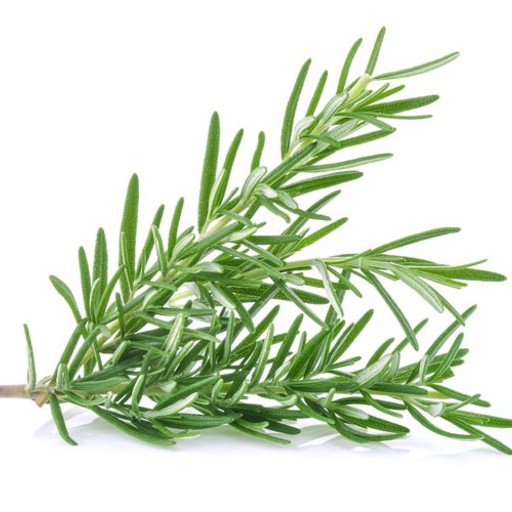 rosemary benefits our health. eating rosemary benefits our health. nutritional benefits of rosemary. rosemary may prevent chronic conditions. rosemary may alleviate chronic inflammatory conditions.  rosemary boosts mood. rosemary aids mental health. rosemary may be beneficial for depression, stress, and emotional upset.  rosemary improves mental energy. rosemary improves sleep quality. rosemary is beneficial on mood. rosemary is beneficial for cognitive function. rosemary has antidepressant effects. rosemary may help regulate dopamine in the brain. rosemary enhances memory. rosemary enhances concentration. rosemary may have beneficial effects on cognition. rosemary may have beneficial effect on memory.  rosemary may have beneficial effect on learning. rosemary significantly improves memory performance. rosemary may help enhance cognition in memory and learning abilities.  rosemary provides neurological protection. rosemary can also be good for the brain.  rosemary have beneficial effects on Alzheimer’s. rosemary significantly decreased seizure severity. rosemary may be beneficial for epilepsy in humans. lion’s mane mushrooms could protect against Dementia. lion’s mane mushrooms slow down dementia. rosemary may reduce the risk of dementia. rosemary may reduce the risk of Alzheimer’s disease. ways to reduce risk of dementia. good diet to reduce dementia risk. how to reduce risk of dementia? what is good to prevent dementia? which food is good to prevent dementia? what to eat for dementia? lion’s mane mushrooms could protect against Alzheimer’s disease. ways to reduce risk of Alzheimer’s disease. good diet to reduce risk of Alzheimer’s disease. how to reduce risk of Alzheimer’s disease? what is good to prevent Alzheimer’s disease? which food is good to prevent Alzheimer’s disease? what to eat for Alzheimer’s disease? rosemary is good for skin health. rosemary may have beneficial effects on the skin. rosemary has anti-inflammatory properties. rosemary could help with some inflammatory skin conditions. rosemary has anti-aging effects on the skin. rosemary helps protect the skin from damage caused by UV rays. Rosemary may support graceful aging. rosemary has anti-aging effect. eating rosemary may delay aging. rosemary is the food to slow down aging. good eating habit to slow down aging. how to slow down aging? which good is anti-aging? which food can delay aging? rosemary may prevent and treat cancer. rosemary reduces tumor-stimulating inflammation. rosemary suppresses tumor growth. rosemary have cancer-fighting properties. eating rosemary may fight cancer. rosemary is good to prevent cancer. rosemary lower the risk of cancer. ways to prevent cancer. good diet to prevent cancer. how to protect against cancer? what is good to prevent cancer? which food is good to prevent cancer? what to eat to prevent cancer. rosemary recipe and video. recipe and video to use rosemary.  listen to the nutritional benefits of rosemary.  veganvv editor’s view on health. veganvv editor’s opinion on human health. our view on human health. how do we see human health? what should I do when there is no illness? what can I do when I am not sick? can I do something when I am not sick? what can I do now? what should I eat when I am not sick? what should I eat to prevent diseases? what should I eat to prevent illness? what do I need to prevent illness? what do I need to prevent disease? how can I do to prevent illness? how do I prevent illness? how do I prevent disease? what food should I eat now? which food should I eat now? which food shall I eat now? what food shall I eat now? what is healthy diet? prevention diet? how should I choose new food? how may I choose new plants? which food is my best food? what food is my best food? which food suits me most? What food suits me most? the best direction of my diet. how to choose my food? how to choose new food? what should I notice when choosing new food? what should I consider when choose new food? is it difficult to change my diet? why should I eat plants? why should I eat new things? am I healthy? disease prevention.  how to try new food? how to try new plants? the way to try new food? the procedure to try new food? do’s and don’s when trying new food. do’s and don’s on new diet. try new food properly. test new food properly. bells and wishers on new diet. do’s and don’s on plant based diet. do’s and don’s on plant-based diet. bells and wishers on plant based diet. bells and wishers on plant-based diet. cook beef at high temperature may cause cancer.  cook pork at high temperature may cause cancer.  cook lamb at high temperature may cause cancer. cook chicken at high temperature may cause cancer.  cook duck at high temperature may cause cancer.  cook fish at high temperature may cause cancer.  cook meat at high temperature may cause cancer.  cook poultry at high temperature may cause cancer.  cook sea food at high temperature may cause cancer.  cook animal meat at high temperature may cause cancer.   fry beef at high temperature may cause cancer.  fry pork at high temperature may cause cancer. fry lamb at high temperature may cause cancer.  fry chicken at high temperature may cause cancer.  fry duck at high temperature may cause cancer.  fry fish at high temperature may cause cancer.  fry meat at high temperature may cause cancer.  fry poultry at high temperature may cause cancer.  fry sea food at high temperature may cause cancer.  fry animal meat at high temperature may cause cancer.   boil beef at high temperature may cause cancer.  boil pork at high temperature may cause cancer.  boil lamb at high temperature may cause cancer. boil chicken at high temperature may cause cancer.  boil duck at high temperature may cause cancer.  boil fish at high temperature may cause cancer.  boil meat at high temperature may cause cancer.  boil poultry at high temperature may cause cancer.  boil sea food at high temperature may cause cancer.  boil animal meat at high temperature may cause cancer.   barbecue beef at high temperature may cause cancer.  barbecue pork at high temperature may cause cancer.  barbecue lamb at high temperature may cause cancer. barbecue chicken at high temperature may cause cancer.  barbecue duck at high temperature may cause cancer.  barbecue fish at high temperature may cause cancer.  barbecue meat at high temperature may cause cancer.  barbecue poultry at high temperature may cause cancer.  barbecue sea food at high temperature may cause cancer.  barbecue animal meat at high temperature may cause cancer.   roast beef at high temperature may cause cancer.  roast pork at high temperature may cause cancer.  roast lamb at high temperature may cause cancer. roast chicken at high temperature may cause cancer.  roast duck at high temperature may cause cancer.  roast fish at high temperature may cause cancer.  roast meat at high temperature may cause cancer.  roast poultry at high temperature may cause cancer.  roast sea food at high temperature may cause cancer.  roast animal meat at high temperature may cause cancer.  