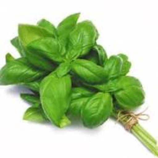 basil benefits our health. eating basil benefits our health. nutritional benefits of basil. basil remedy ailments for nausea and bug bites. basil is a popular folk remedy for ailments like nausea and bug bites. Basil is utilized in traditional Chinese medicine. Basil is utilized in Ayurvedic medicine. Basil is utilized in holistic medicine systems. basil reduces memory loss associated with stress and aging. basil may reduce memory loss due to stress. basil may reduce memory loss due to aging.  basil reduces depression. basil reduce depress from chronic stress. basil reduces stroke damage. basil supports recovery after stroke.   basil improves fasting blood sugar. basil improves cholesterol. basil improves triglycerides. basil may control blood sugar levels. basil is good to control blood sugar. ways to control blood sugar. good diet to control blood sugar. how to control blood sugar? what is good to control blood sugar? which food is good to control blood sugar? what can I do to control blood sugar? what to eat to control blood sugar? basil may control cholesterol. basil is good to control cholesterol. eating basil may control LDL. basil may control LDL. basil may control bad cholesterol. eating basil may control bad cholesterol.  ways to control cholesterol. good diet to control cholesterol. how to control cholesterol? what is good to control cholesterol? which food is good to control cholesterol? what can I do to control cholesterol? what to eat to control cholesterol? ways to control bad cholesterol. good diet to control bad cholesterol. how to control bad cholesterol? what is good to control bad cholesterol? which food is good to control bad cholesterol? what can I do to control bad cholesterol? what to eat to control bad cholesterol? ways to control LDL. good diet to control LDL. how to control LDL? what is good to control LDL? which food is good to control LDL? what can I do to control LDL? what to eat to control LDL? basil reduces blood pressure. basil may lower high blood pressure. basil may reduce risk of high blood pressure. how to prevent high blood pressure? how to lower high blood pressure? ways to lower high blood pressure. what is good to lower high blood pressure. good diet to lower high blood pressure. what to eat to lower high blood pressure? which food is good to lower high blood pressure? food to reduce hypertension. basil relaxes blood vessels. basil may thin your blood. basil protects against aspirin’s damage to your gut. basil may prevent ulcers.  basil prevents certain cancers. basil prevents breast cancer. basil prevents colon cancer. basil prevents pancreas cancer. basil has cancer-fighting properties. basil has antioxidants. eating basil may fight cancer. basil is good to prevent cancer. basil lowers the risk of cancer. ways to prevent cancer. good diet to prevent cancer. how to protect against cancer? what is good to prevent cancer? which food is good to prevent cancer? what to eat to prevent cancer. basil increases mental alertness. Basil is good for the brain.  basil inhibits bacteria growth in dental. basil prevents bacterial in mouth. Basil prevents bacterial on teeth. basil provides alternative to antibiotics. basil may combat antibiotic-resistant. basil repels insects. basil repels mosquitos. Basil repels ticks. basil recipe and video. recipe and video to use basil.  listen to the nutritional benefits of basil.  veganvv editor’s view on health. veganvv editor’s opinion on human health. our view on human health. how do we see human health? what should I do when there is no illness? what can I do when I am not sick? can I do something when I am not sick? what can I do now? what should I eat when I am not sick? what should I eat to prevent diseases? what should I eat to prevent illness? what do I need to prevent illness? what do I need to prevent disease? how can I do to prevent illness? how do I prevent illness? how do I prevent disease? what food should I eat now? which food should I eat now? which food shall I eat now? what food shall I eat now? what is healthy diet? prevention diet? how should I choose new food? how may I choose new plants? which food is my best food? what food is my best food? which food suits me most? What food suits me most? the best direction of my diet. how to choose my food? how to choose new food? what should I notice when choosing new food? what should I consider when choose new food? is it difficult to change my diet? why should I eat plants? why should I eat new things? am I healthy? disease prevention.  how to try new food? how to try new plants? the way to try new food? the procedure to try new food? do’s and don’s when trying new food. do’s and don’s on new diet. try new food properly. test new food properly. bells and wishers on new diet. do’s and don’s on plant based diet. do’s and don’s on plant-based diet. bells and wishers on plant based diet. bells and wishers on plant-based diet. cook beef at high temperature may cause cancer.  cook pork at high temperature may cause cancer.  cook lamb at high temperature may cause cancer. cook chicken at high temperature may cause cancer.  cook duck at high temperature may cause cancer.  cook fish at high temperature may cause cancer.  cook meat at high temperature may cause cancer.  cook poultry at high temperature may cause cancer.  cook sea food at high temperature may cause cancer.  cook animal meat at high temperature may cause cancer.   fry beef at high temperature may cause cancer.  fry pork at high temperature may cause cancer. fry lamb at high temperature may cause cancer.  fry chicken at high temperature may cause cancer.  fry duck at high temperature may cause cancer.  fry fish at high temperature may cause cancer.  fry meat at high temperature may cause cancer.  fry poultry at high temperature may cause cancer.  fry sea food at high temperature may cause cancer.  fry animal meat at high temperature may cause cancer.   boil beef at high temperature may cause cancer.  boil pork at high temperature may cause cancer.  boil lamb at high temperature may cause cancer. boil chicken at high temperature may cause cancer.  boil duck at high temperature may cause cancer.  boil fish at high temperature may cause cancer.  boil meat at high temperature may cause cancer.  boil poultry at high temperature may cause cancer.  boil sea food at high temperature may cause cancer.  boil animal meat at high temperature may cause cancer.   barbecue beef at high temperature may cause cancer.  barbecue pork at high temperature may cause cancer.  barbecue lamb at high temperature may cause cancer. barbecue chicken at high temperature may cause cancer.  barbecue duck at high temperature may cause cancer.  barbecue fish at high temperature may cause cancer.  barbecue meat at high temperature may cause cancer.  barbecue poultry at high temperature may cause cancer.  barbecue sea food at high temperature may cause cancer.  barbecue animal meat at high temperature may cause cancer.   roast beef at high temperature may cause cancer.  roast pork at high temperature may cause cancer.  roast lamb at high temperature may cause cancer. roast chicken at high temperature may cause cancer.  roast duck at high temperature may cause cancer.  roast fish at high temperature may cause cancer.  roast meat at high temperature may cause cancer.  roast poultry at high temperature may cause cancer.  roast sea food at high temperature may cause cancer.  roast animal meat at high temperature may cause cancer.  basil reduces depression. basil reduce depress from chronic stress. basil prevents depression. basil helps decrease depression symptoms. eating basil help depression. ways to ease depression. what can I do for depression? what can I eat to cue depression? any food for depression? depression prevention food. things against depression. which food is good for depression? ways to avoid depression. how not to have depression? no depression?