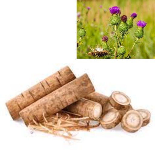 burdock benefits our health. eating burdock benefits our health. nutritional benefits of burdock. burdock roots benefit our health. eating burdock roots benefits our health. nutritional benefits of burdock roots. burdock roots is a powerhouse of antioxidants. burdock roots contain quercetin, luteolin, and phenolic acids. burdock roots may lower blood sugar levels. burdock root may improve insulin sensitivity. burdock roots may lower blood sugar levels. burdock roots may control blood sugar levels. burdock roots may improve insulin resistance. burdock root is good to control blood sugar. ways to control blood sugar. good diet to control blood sugar. how to control blood sugar? what is good to control blood sugar? which food is good to control blood sugar? what can I do to control blood sugar? what to eat to control blood sugar? burdock root may inhibit some types of cancer. burdock roots may inhibit cancer in pancreatic carcinoma. button mushrooms have cancer-fighting properties. button mushrooms have antioxidants. eating burdock may fight cancer. burdock roots are good to prevent cancer. burdock lower the risk of cancer. ways to prevent cancer. good diet to prevent cancer. how to protect against cancer? what is good to prevent cancer? which food is good to prevent cancer? what to eat to prevent cancer. burdock root may treat skin issues. burdock root has traditionally been used to treat a variety of skin conditions. burdock has anti-inflammatory properties. burdock has antibacterial properties. burdock could protect against skin infections. burdock could promote skin healing. burdock recipe and video. recipe and video to use burdock roots.  listen to the nutritional benefits of burdock. listen to the nutritional benefits of burdock roots. veganvv editor’s view on health. veganvv editor’s opinion on human health. our view on human health. how do we see human health? what should I do when there is no illness? what can I do when I am not sick? can I do something when I am not sick? what can I do now? what should I eat when I am not sick? what should I eat to prevent diseases? what should I eat to prevent illness? what do I need to prevent illness? what do I need to prevent disease? how can I do to prevent illness? how do I prevent illness? how do I prevent disease? what food should I eat now? which food should I eat now? which food shall I eat now? what food shall I eat now? what is healthy diet? prevention diet? how should I choose new food? how may I choose new plants? which food is my best food? what food is my best food? which food suits me most? What food suits me most? the best direction of my diet. how to choose my food? how to choose new food? what should I notice when choosing new food? what should I consider when choose new food? is it difficult to change my diet? why should I eat plants? why should I eat new things? am I healthy? disease prevention.  how to try new food? how to try new plants? the way to try new food? the procedure to try new food? do’s and don’s when trying new food. do’s and don’s on new diet. try new food properly. test new food properly. bells and wishers on new diet. do’s and don’s on plant based diet. do’s and don’s on plant-based diet. bells and wishers on plant based diet. bells and wishers on plant-based diet. cook beef at high temperature may cause cancer.  cook pork at high temperature may cause cancer.  cook lamb at high temperature may cause cancer. cook chicken at high temperature may cause cancer.  cook duck at high temperature may cause cancer.  cook fish at high temperature may cause cancer.  cook meat at high temperature may cause cancer.  cook poultry at high temperature may cause cancer.  cook sea food at high temperature may cause cancer.  cook animal meat at high temperature may cause cancer.   fry beef at high temperature may cause cancer.  fry pork at high temperature may cause cancer. fry lamb at high temperature may cause cancer.  fry chicken at high temperature may cause cancer.  fry duck at high temperature may cause cancer.  fry fish at high temperature may cause cancer.  fry meat at high temperature may cause cancer.  fry poultry at high temperature may cause cancer.  fry sea food at high temperature may cause cancer.  fry animal meat at high temperature may cause cancer.   boil beef at high temperature may cause cancer.  boil pork at high temperature may cause cancer.  boil lamb at high temperature may cause cancer. boil chicken at high temperature may cause cancer.  boil duck at high temperature may cause cancer.  boil fish at high temperature may cause cancer.  boil meat at high temperature may cause cancer.  boil poultry at high temperature may cause cancer.  boil sea food at high temperature may cause cancer.  boil animal meat at high temperature may cause cancer.   barbecue beef at high temperature may cause cancer.  barbecue pork at high temperature may cause cancer.  barbecue lamb at high temperature may cause cancer. barbecue chicken at high temperature may cause cancer.  barbecue duck at high temperature may cause cancer.  barbecue fish at high temperature may cause cancer.  barbecue meat at high temperature may cause cancer.  barbecue poultry at high temperature may cause cancer.  barbecue sea food at high temperature may cause cancer.  barbecue animal meat at high temperature may cause cancer.   roast beef at high temperature may cause cancer.  roast pork at high temperature may cause cancer.  roast lamb at high temperature may cause cancer. roast chicken at high temperature may cause cancer.  roast duck at high temperature may cause cancer.  roast fish at high temperature may cause cancer.  roast meat at high temperature may cause cancer.  roast poultry at high temperature may cause cancer.  roast sea food at high temperature may cause cancer.  roast animal meat at high temperature may cause cancer.  