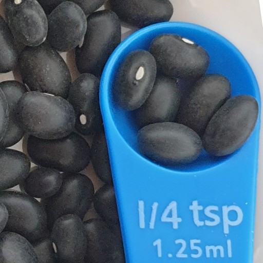 D4.1 Beans Black Bean