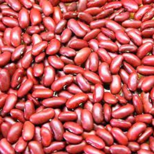 D4.3 Bean Kidney Beans