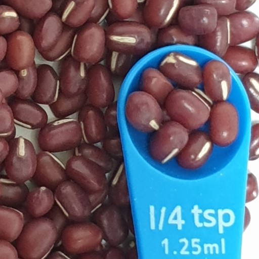 D4.7 Bean Azuki Bean