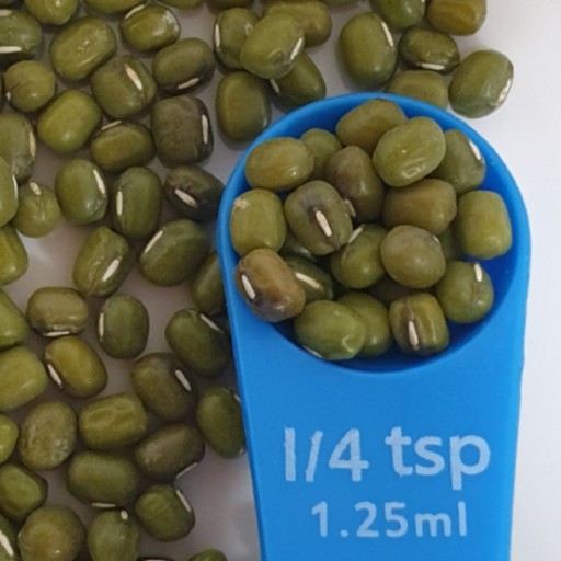 D4.9 Bean Mung Bean