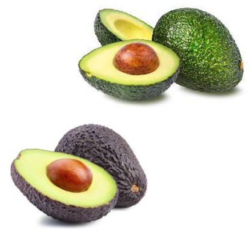 F3 Avocado