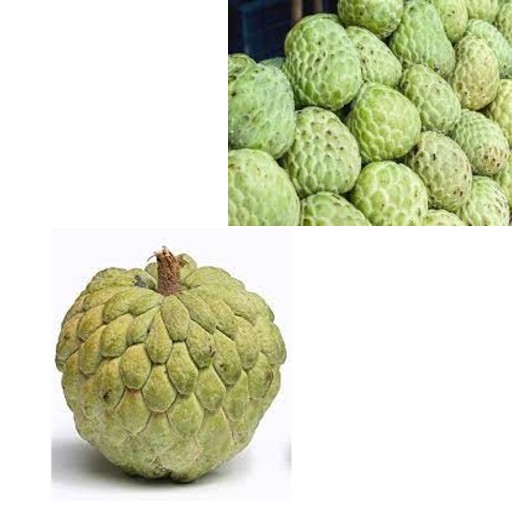 F8 Custard Apple