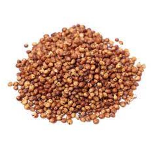 G11 Sorghum