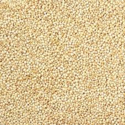 G6 Quinoa