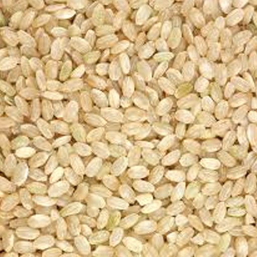 G7.3 Brown Rice Short Grain