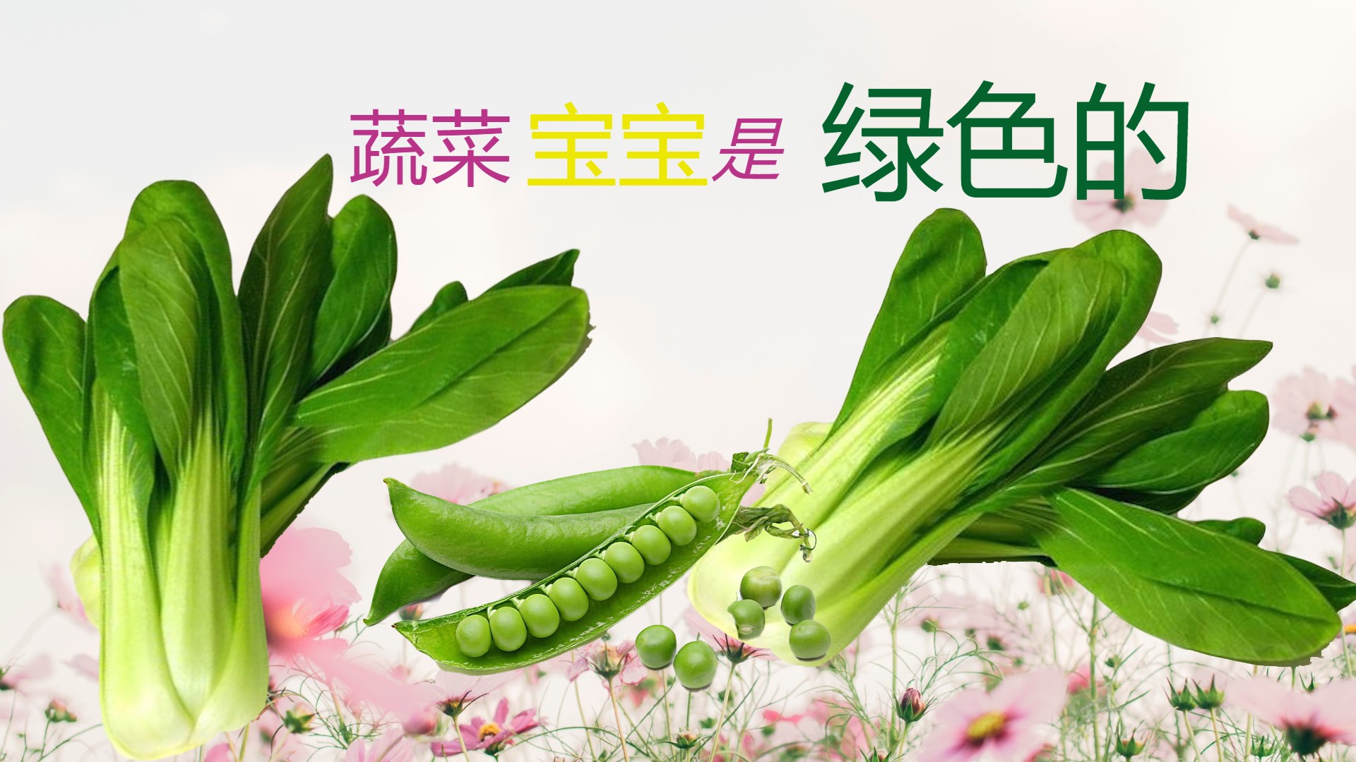 AG15 枸杞叶 - Vegan | Vegan Food | Veganism | VeganVV.com