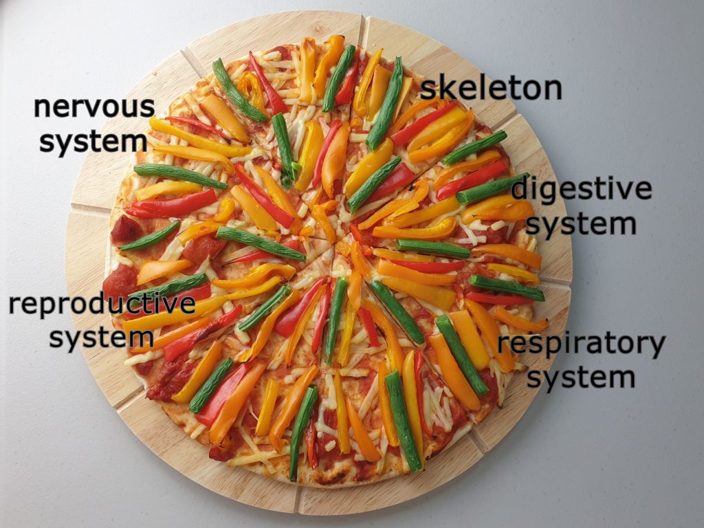 systems are sharing the nutrients.