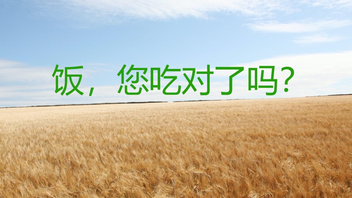 饭，您吃对了吗？营养吃饭，健康吃饭。