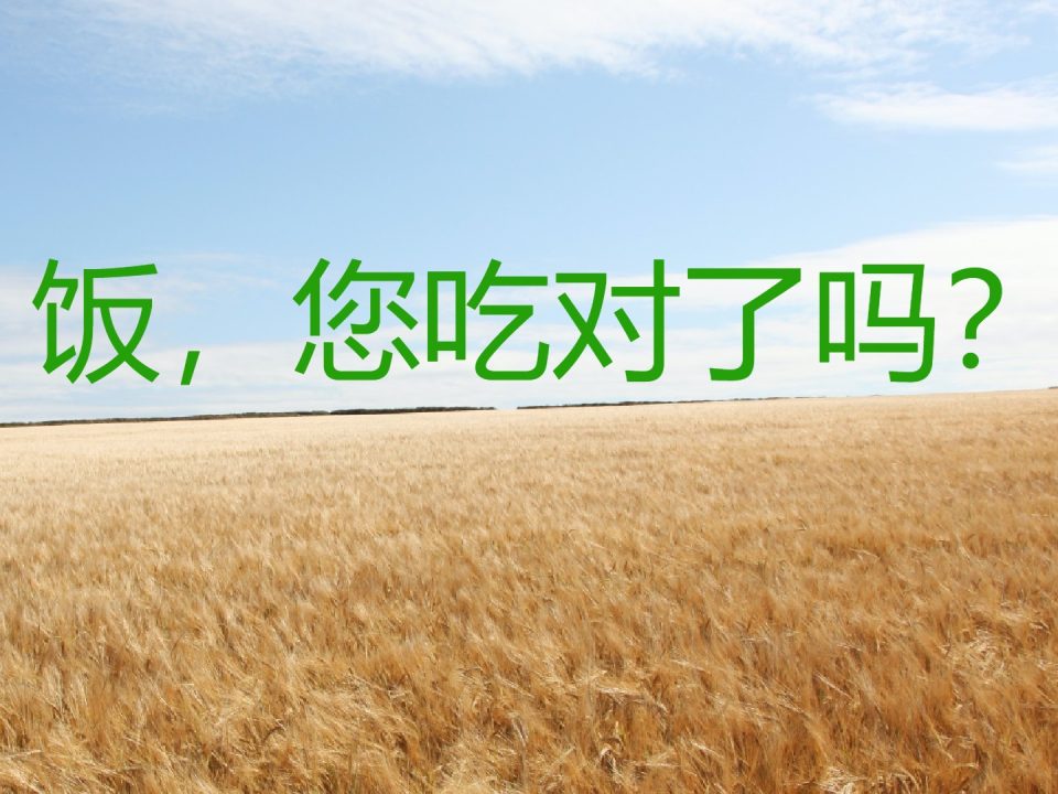 饭，您吃对了吗？营养吃饭，健康吃饭。