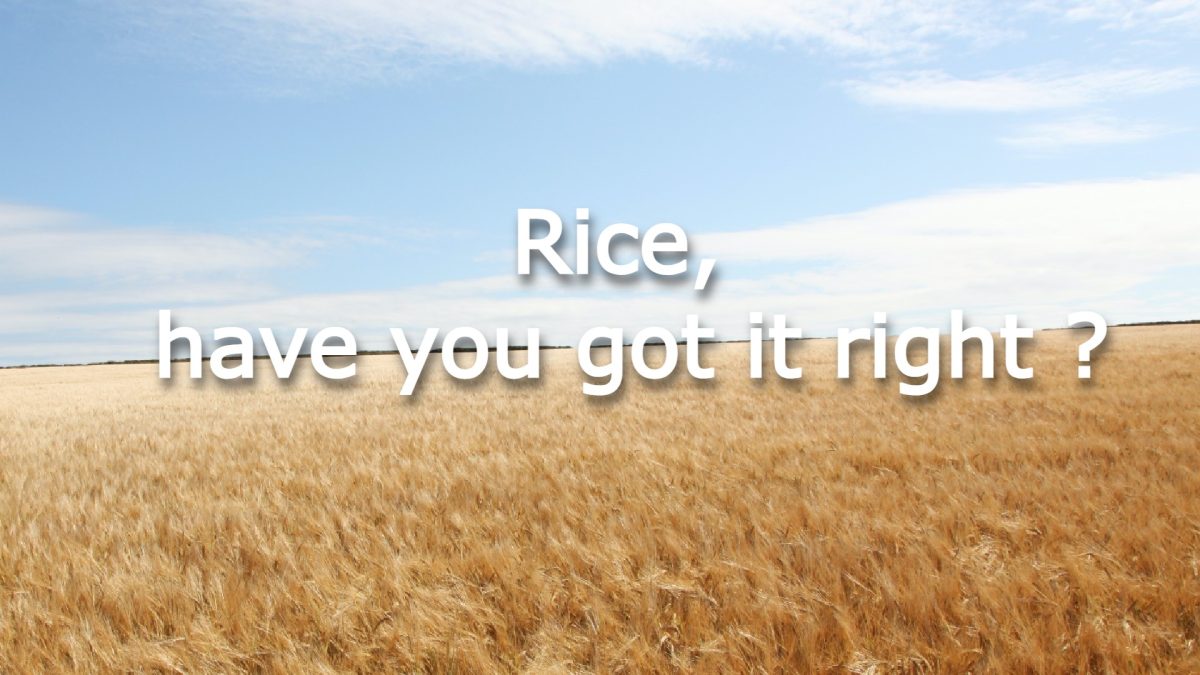 how to eat rice the right way?
