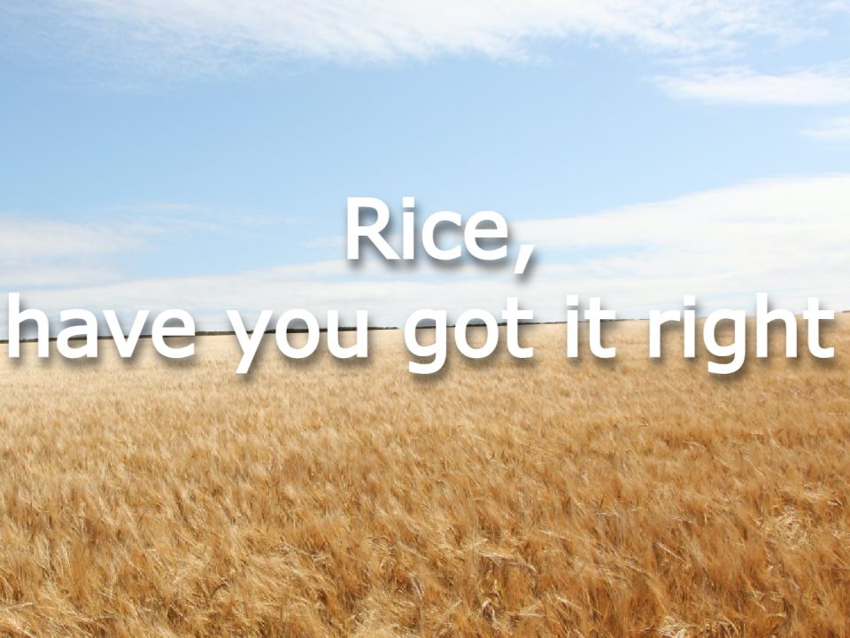 how to eat rice the right way?