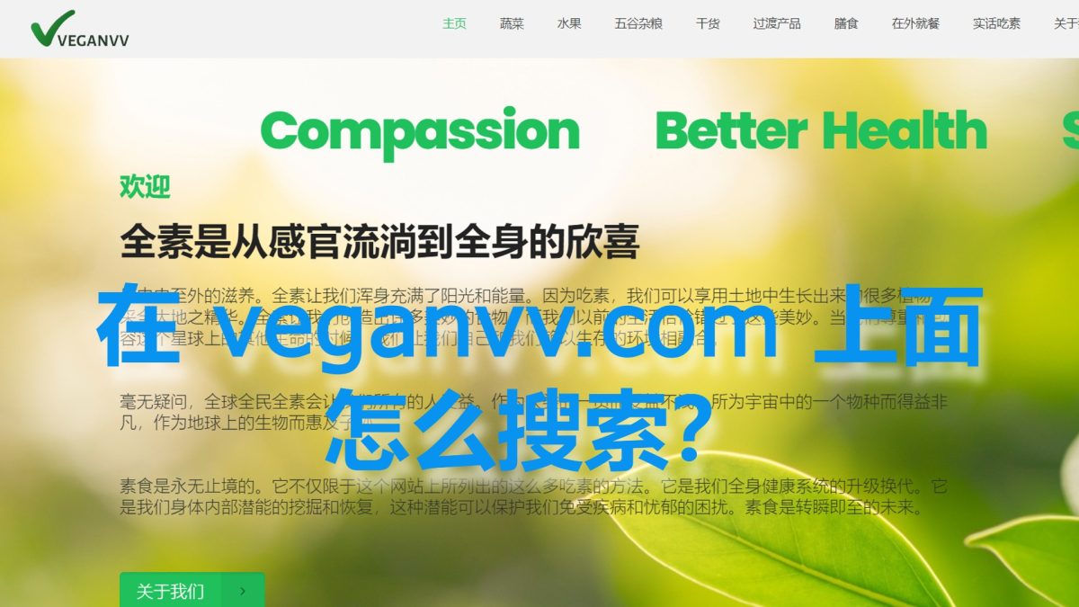 如何在veganvv.com 上面搜索？