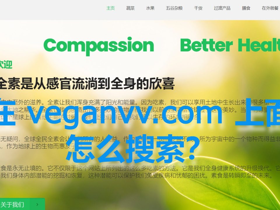 如何在veganvv.com 上面搜索？