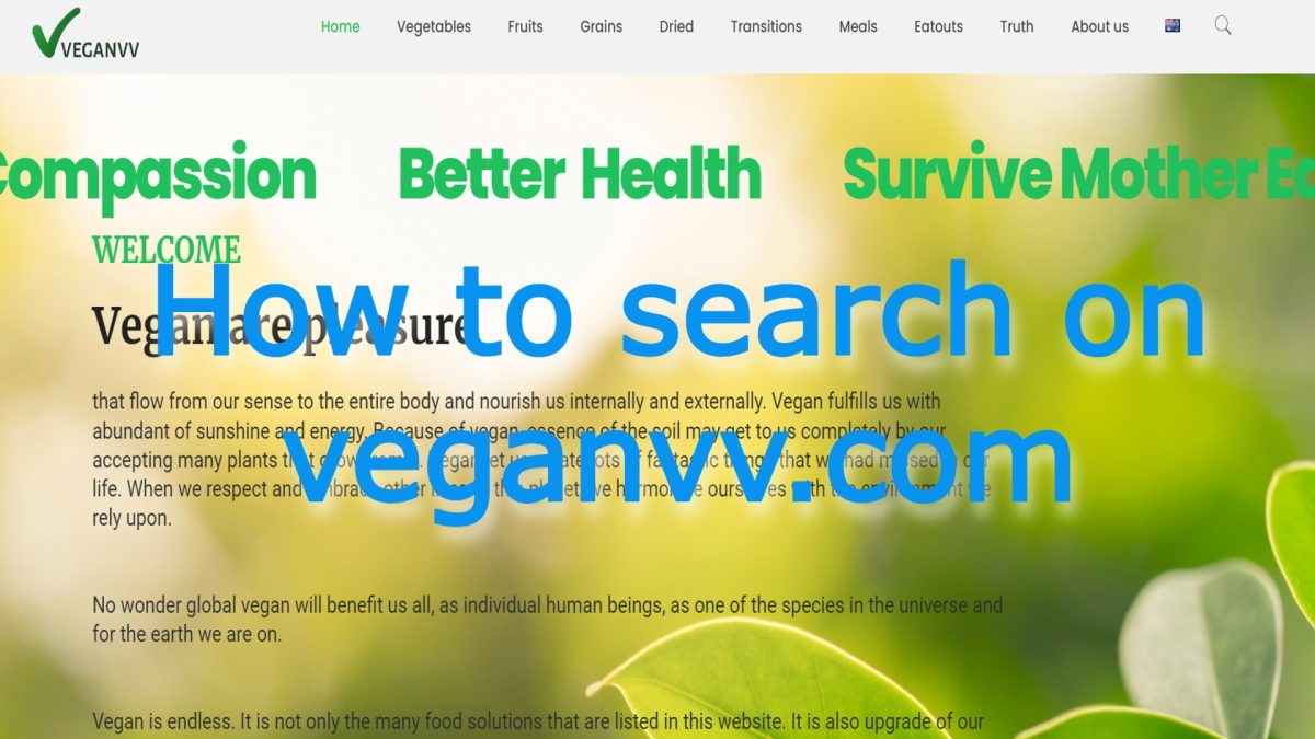 search on veganvv.com