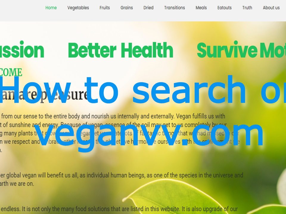 search on veganvv.com