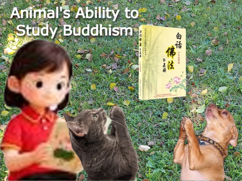 animals can study Buddhism.