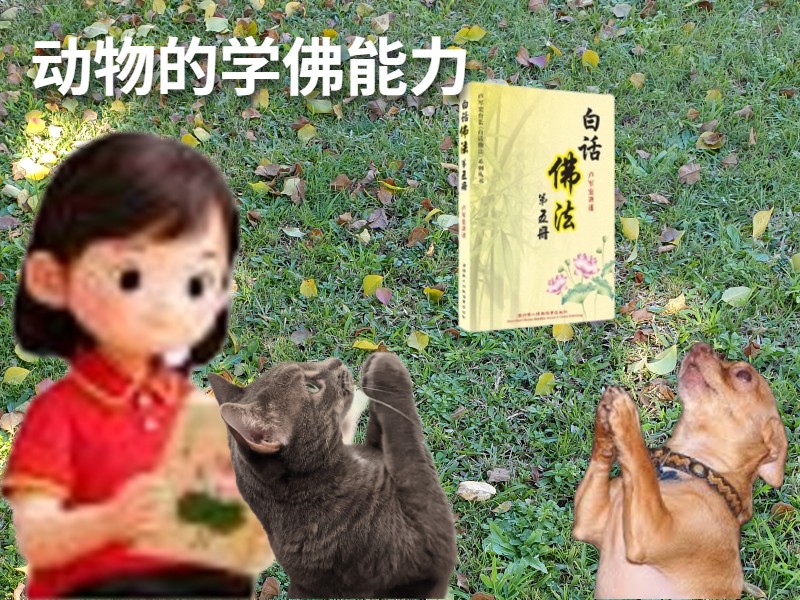 动物能够学佛,动物能够感受经文