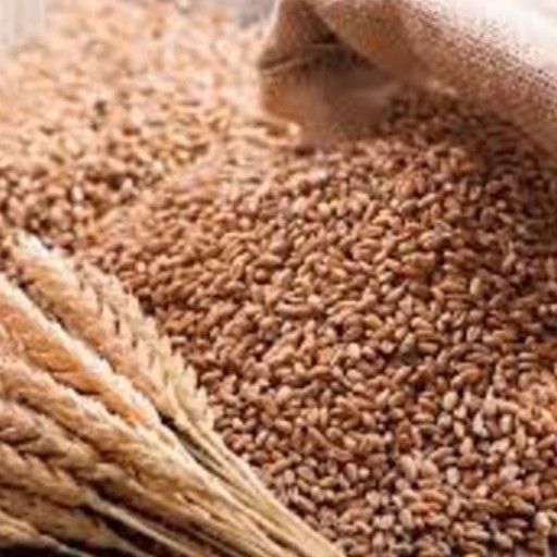 Grains