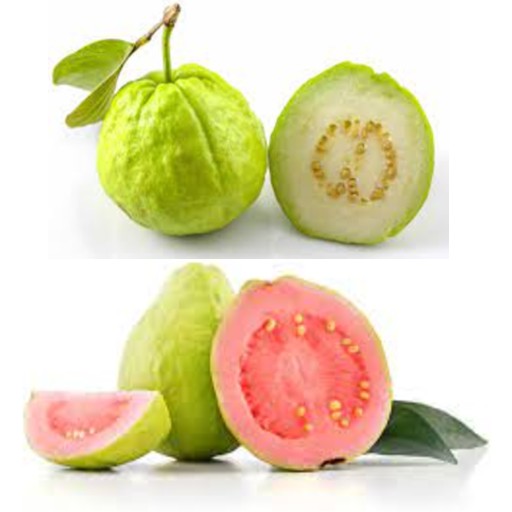 Fruits